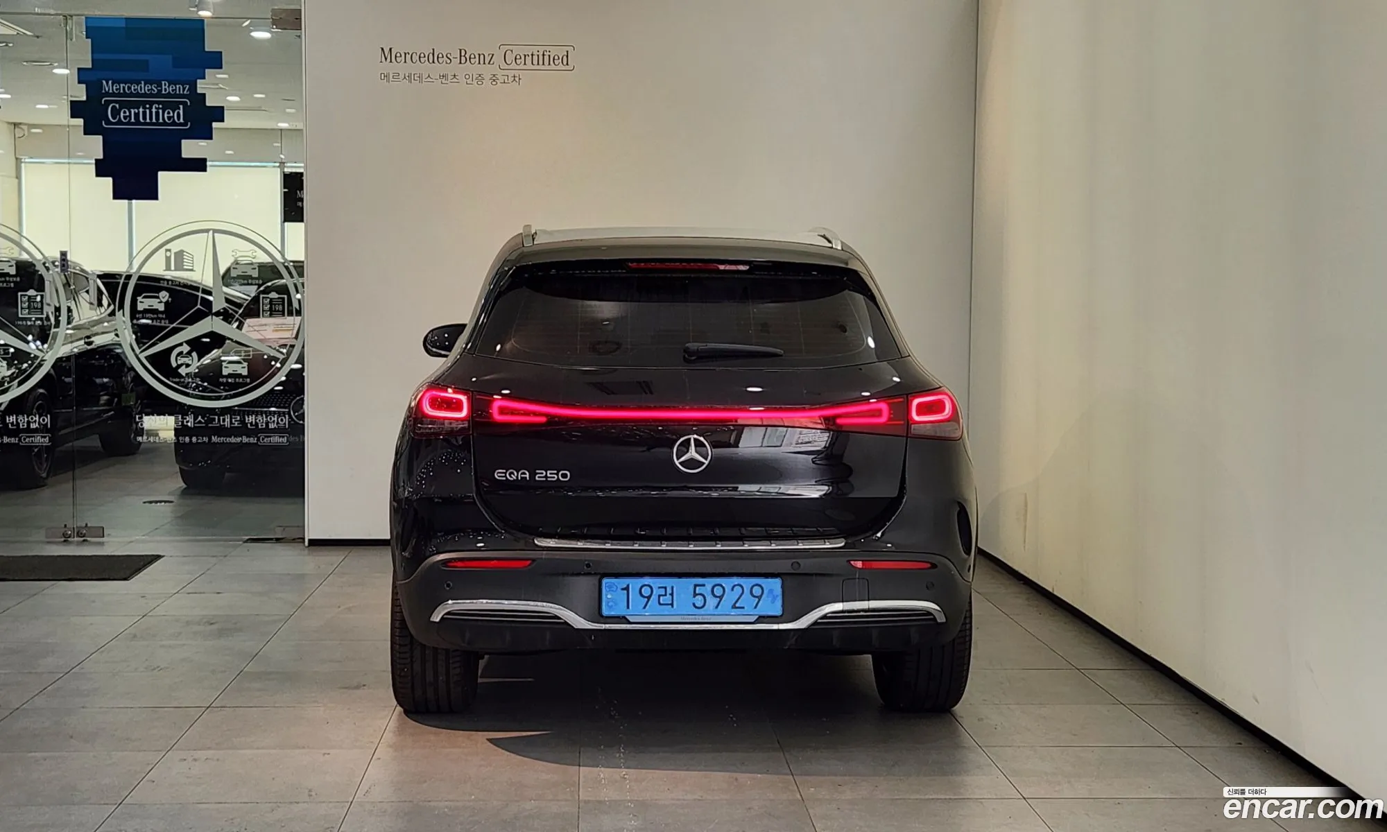 Mercedes-Benz Eqa Eqa250 Amg Line 2024 - фотография 13966333