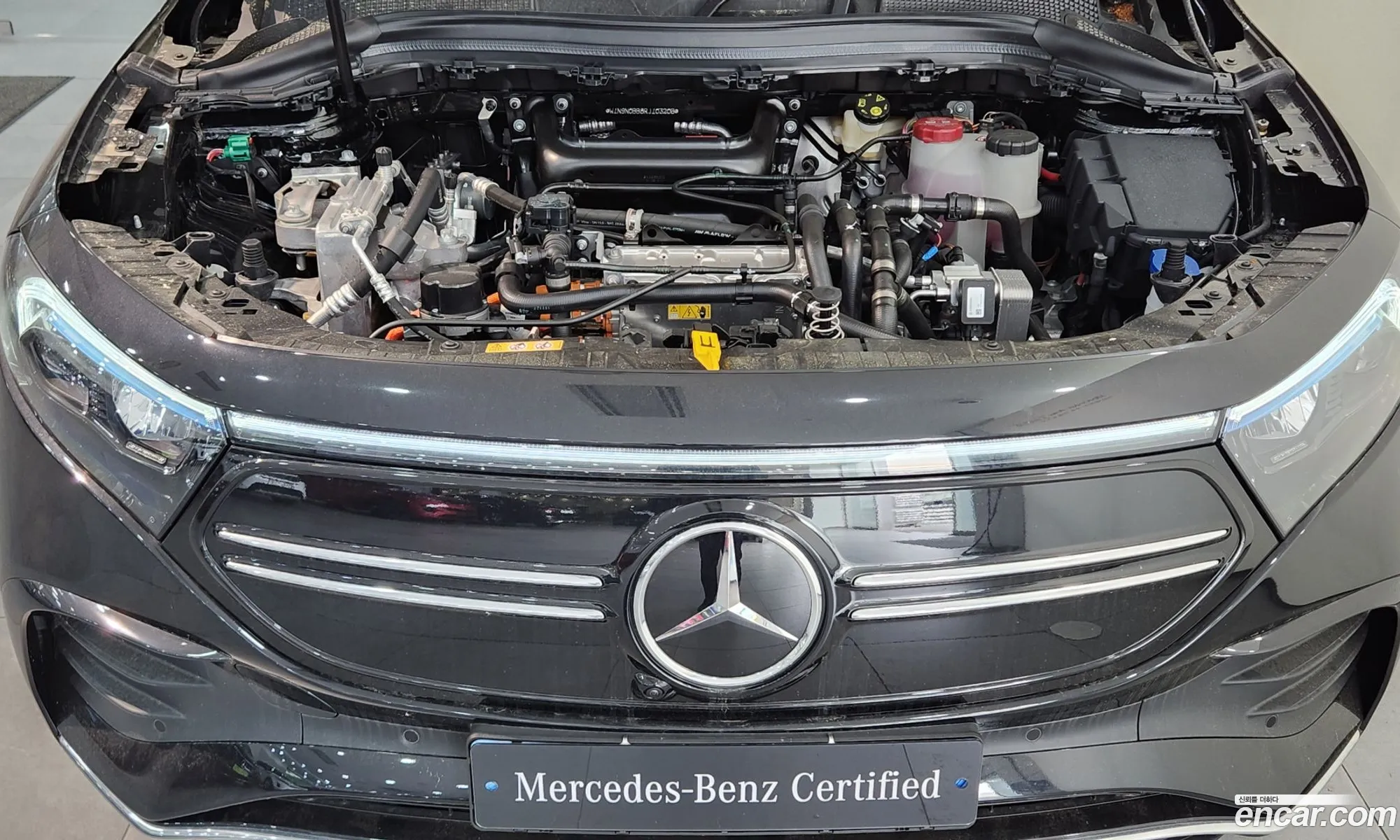 Mercedes-Benz Eqa Eqa250 Amg Line 2024 - фотография 13966335