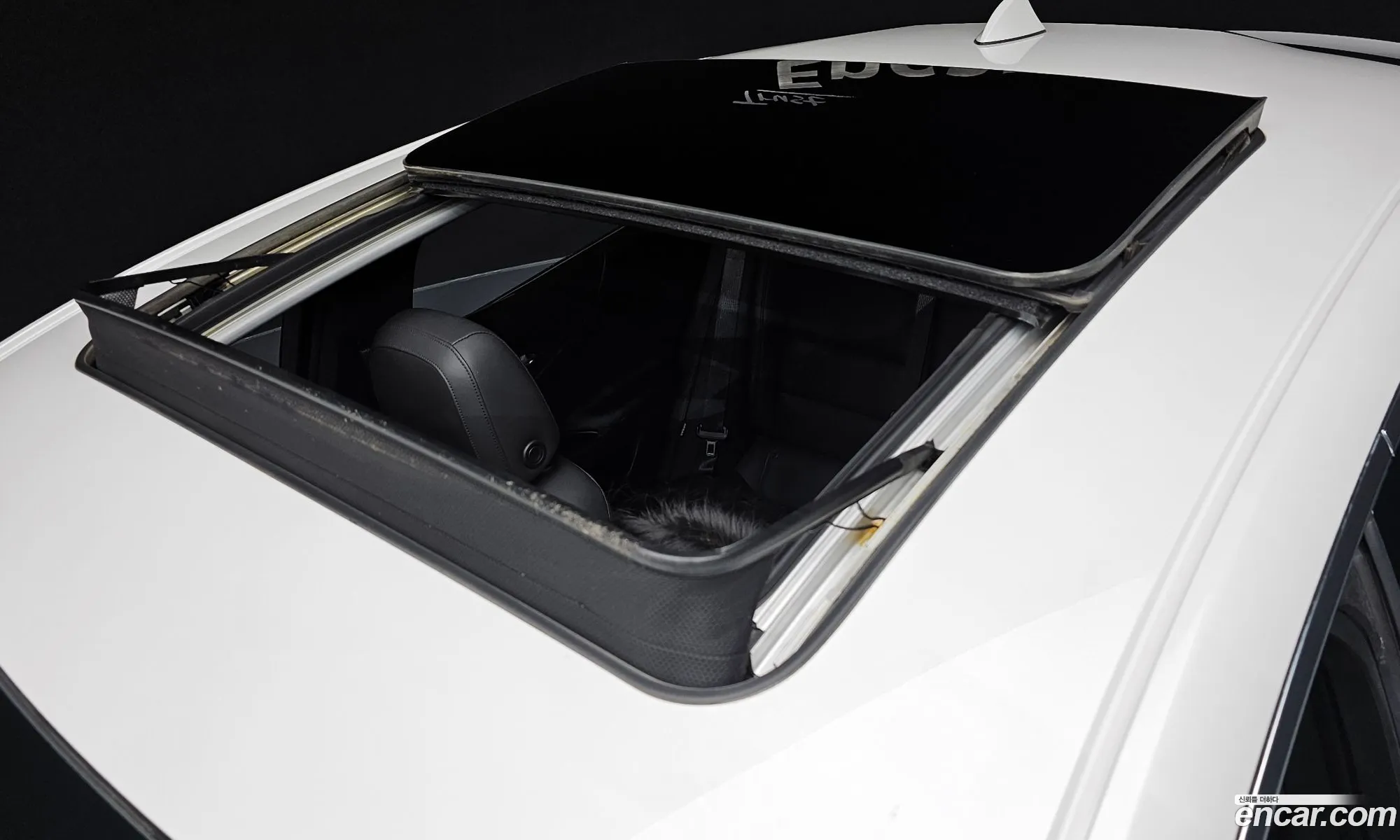 Korex Auto Trade - фотография 7948637