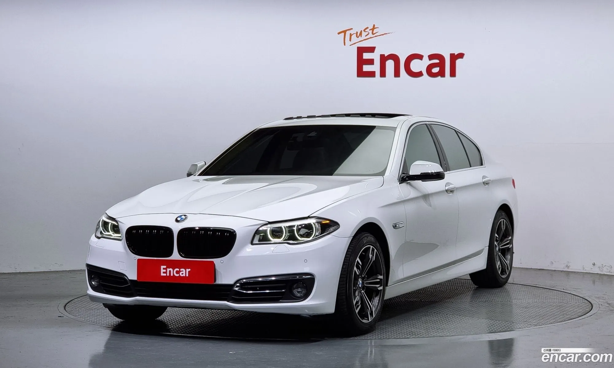 BMW 5Er 520D xDrive Luxury Plus 2016 - фотография 16356553
