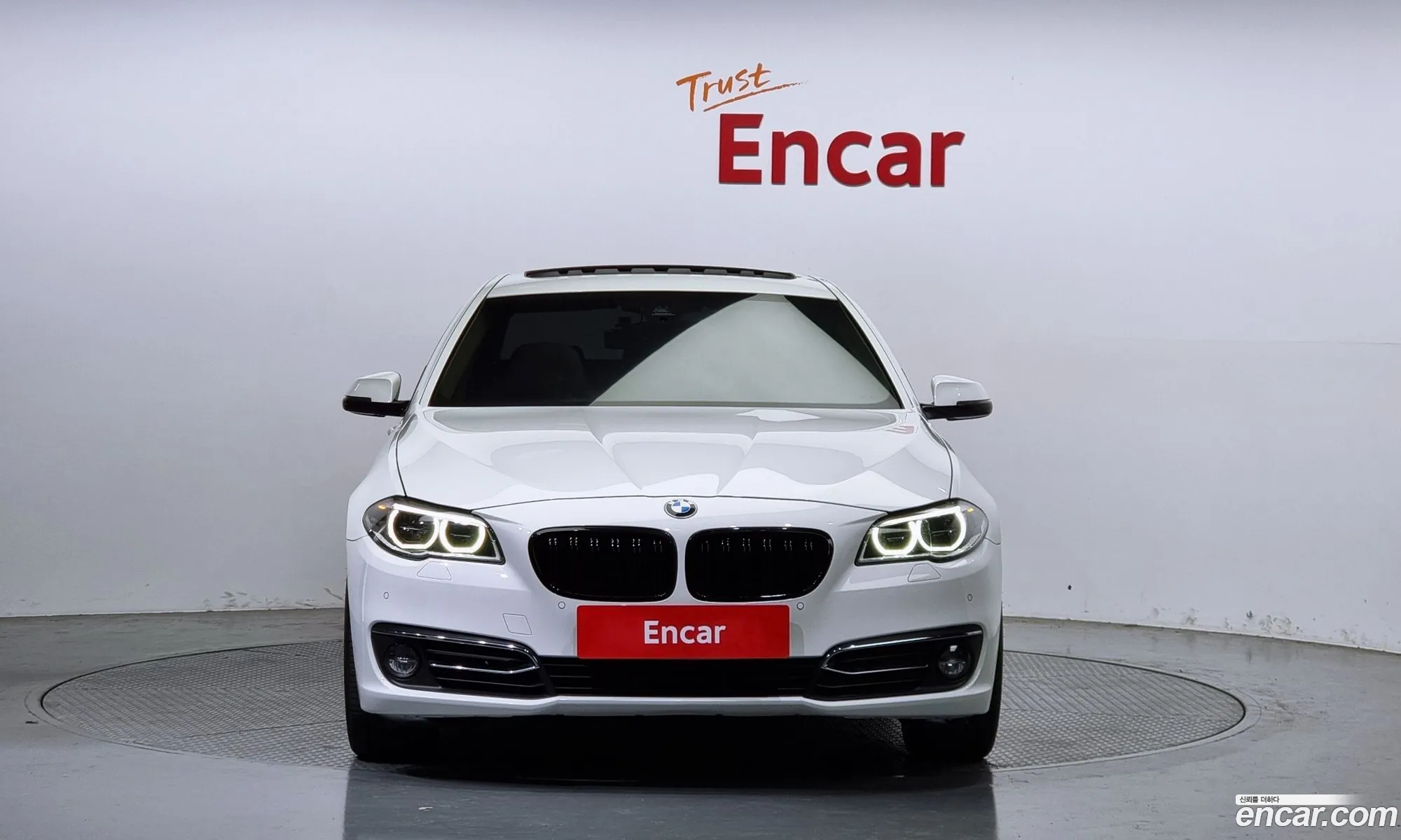 BMW 5Er 520D xDrive Luxury Plus 2016 - фотография 16356555