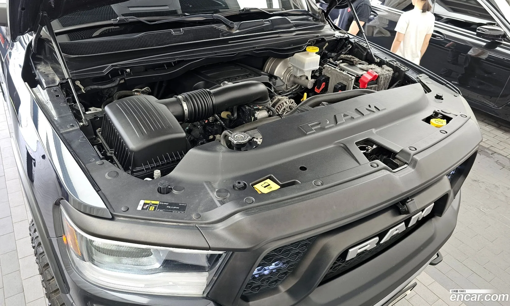 Korex Auto Trade - фотография 12351844