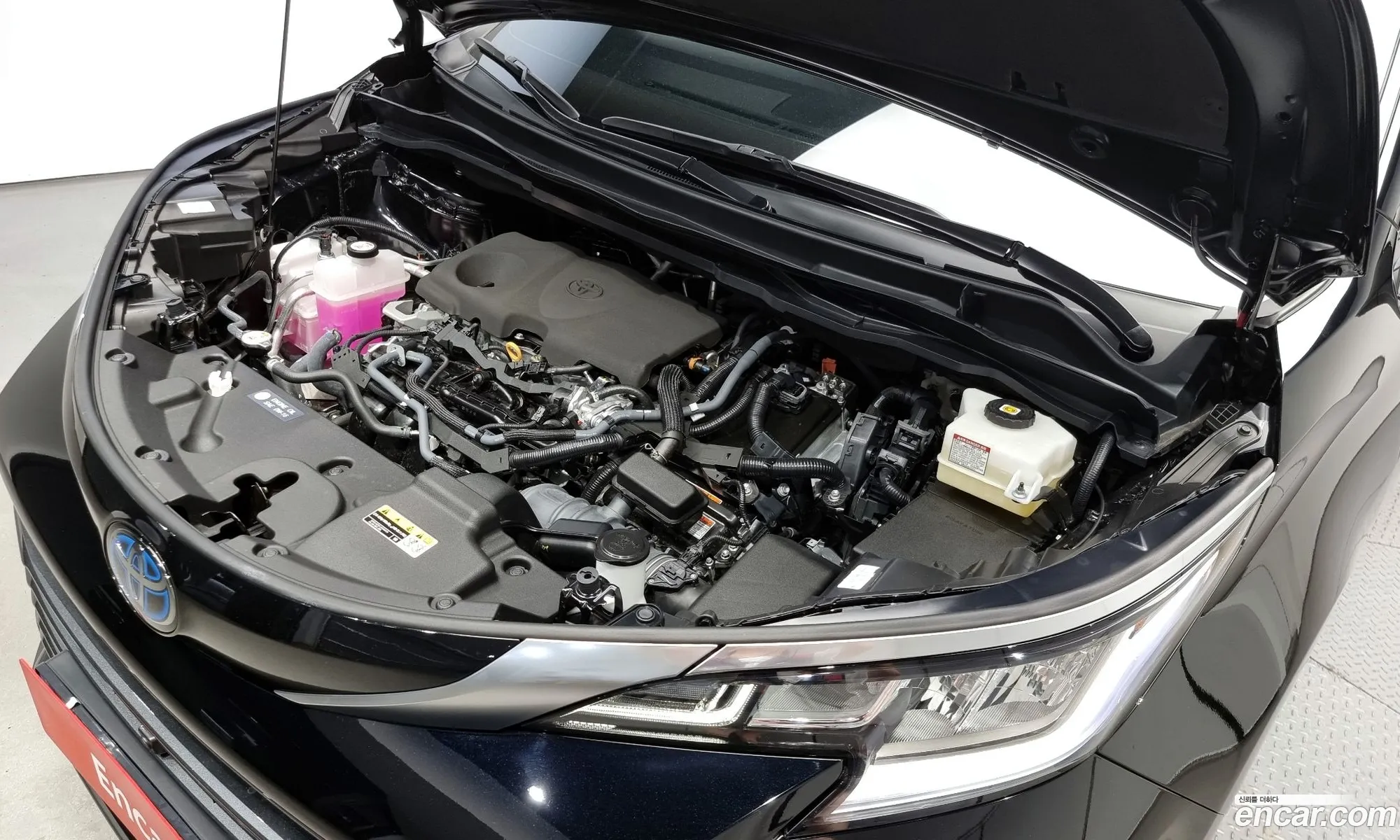 Toyota Sienna 25 Hybrid 2Wd 2023 - фотография 14836814