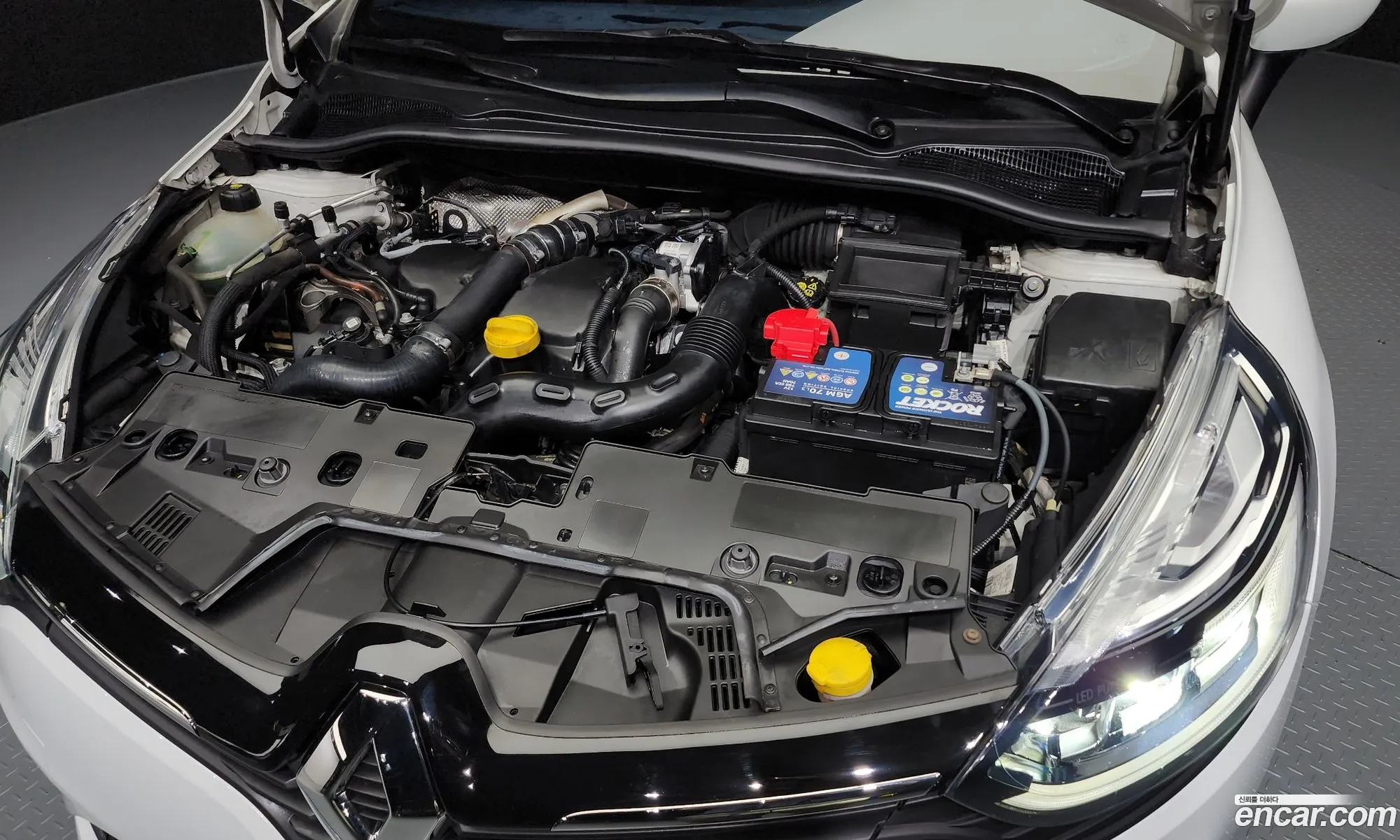 Renault Samsung Clio Intense Panoramic 2019 - фотография 2718729