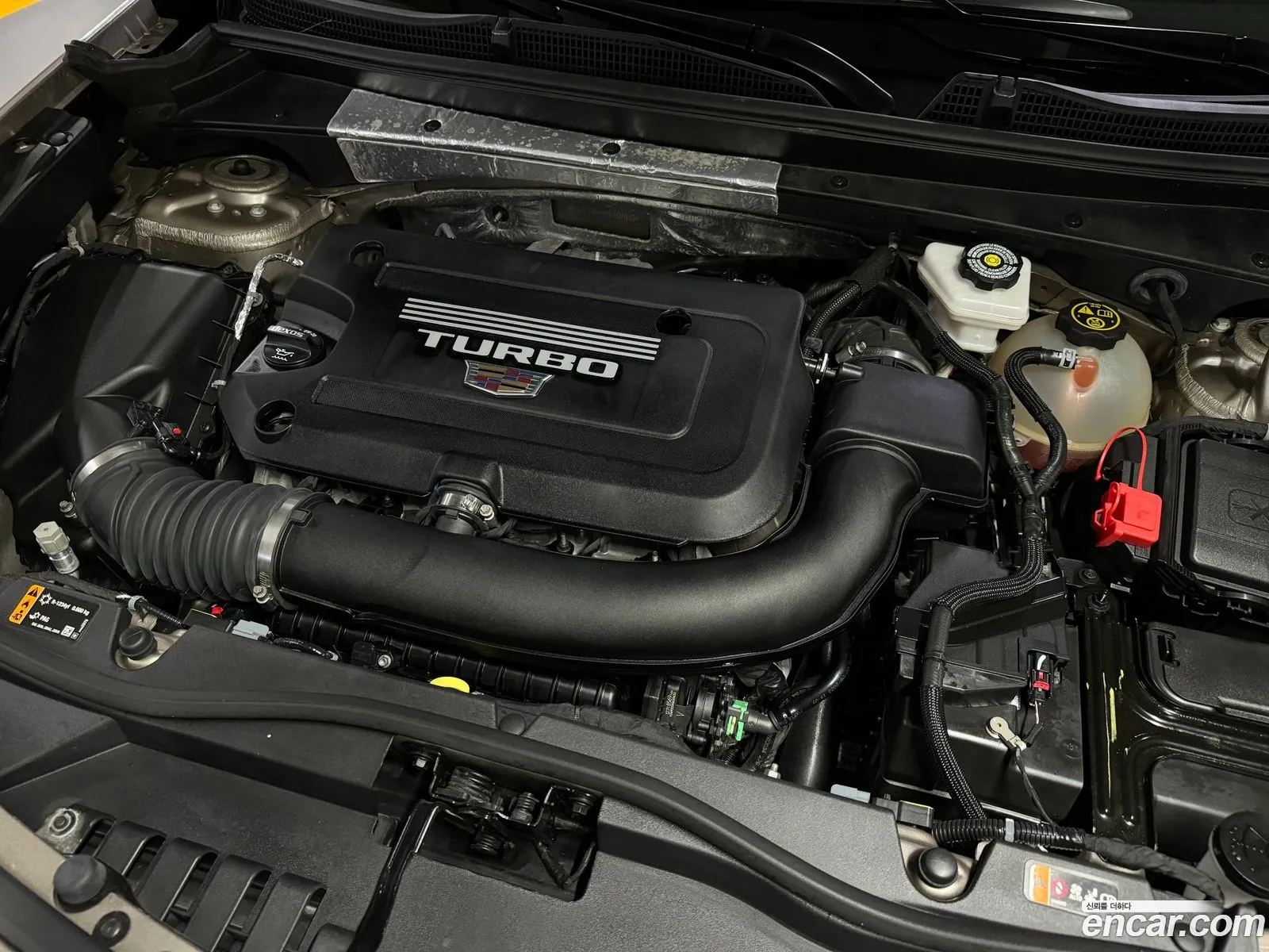 Cadillac Xt4 20 Sports Awd 2023 - фотография 4425162