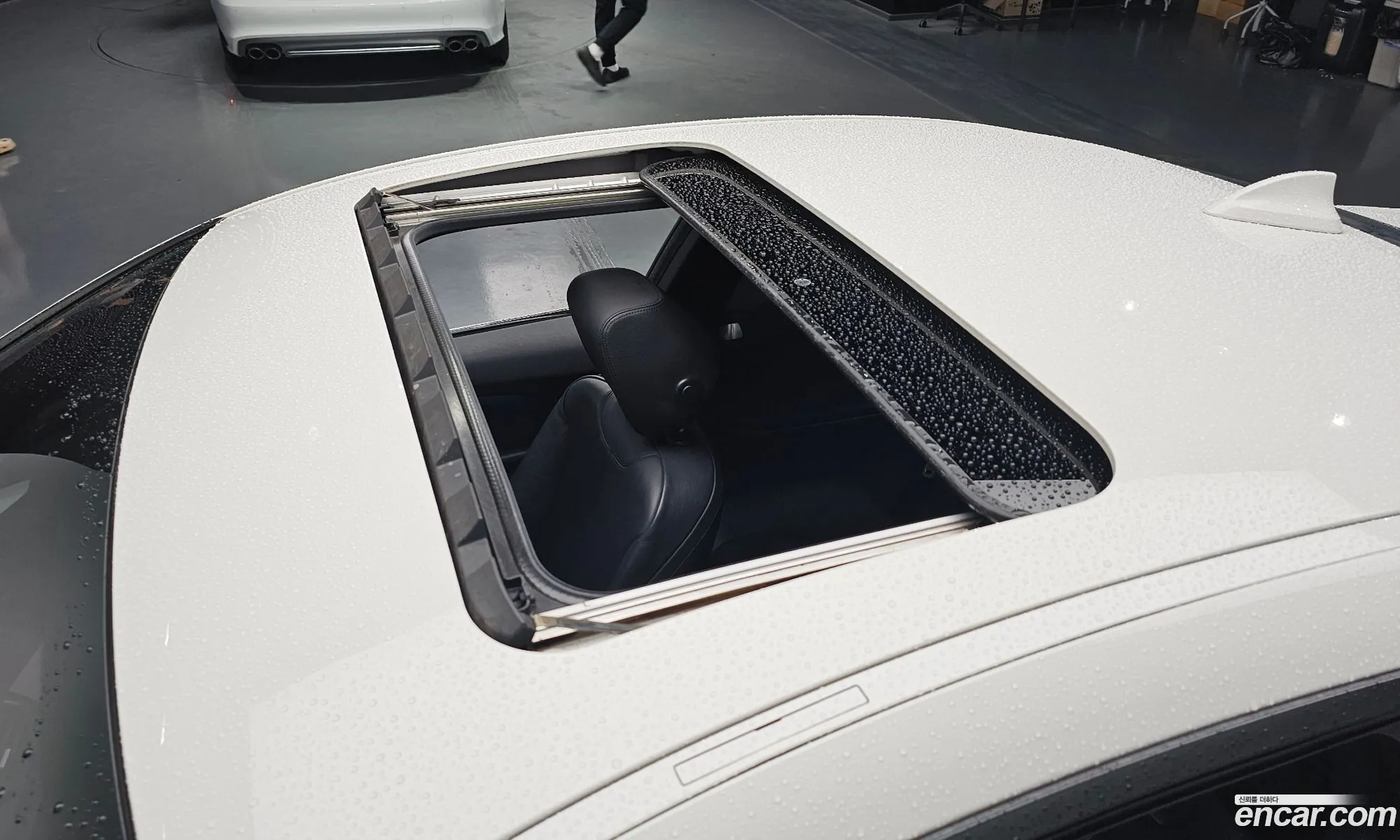 Korex Auto Trade - фотография 19913031