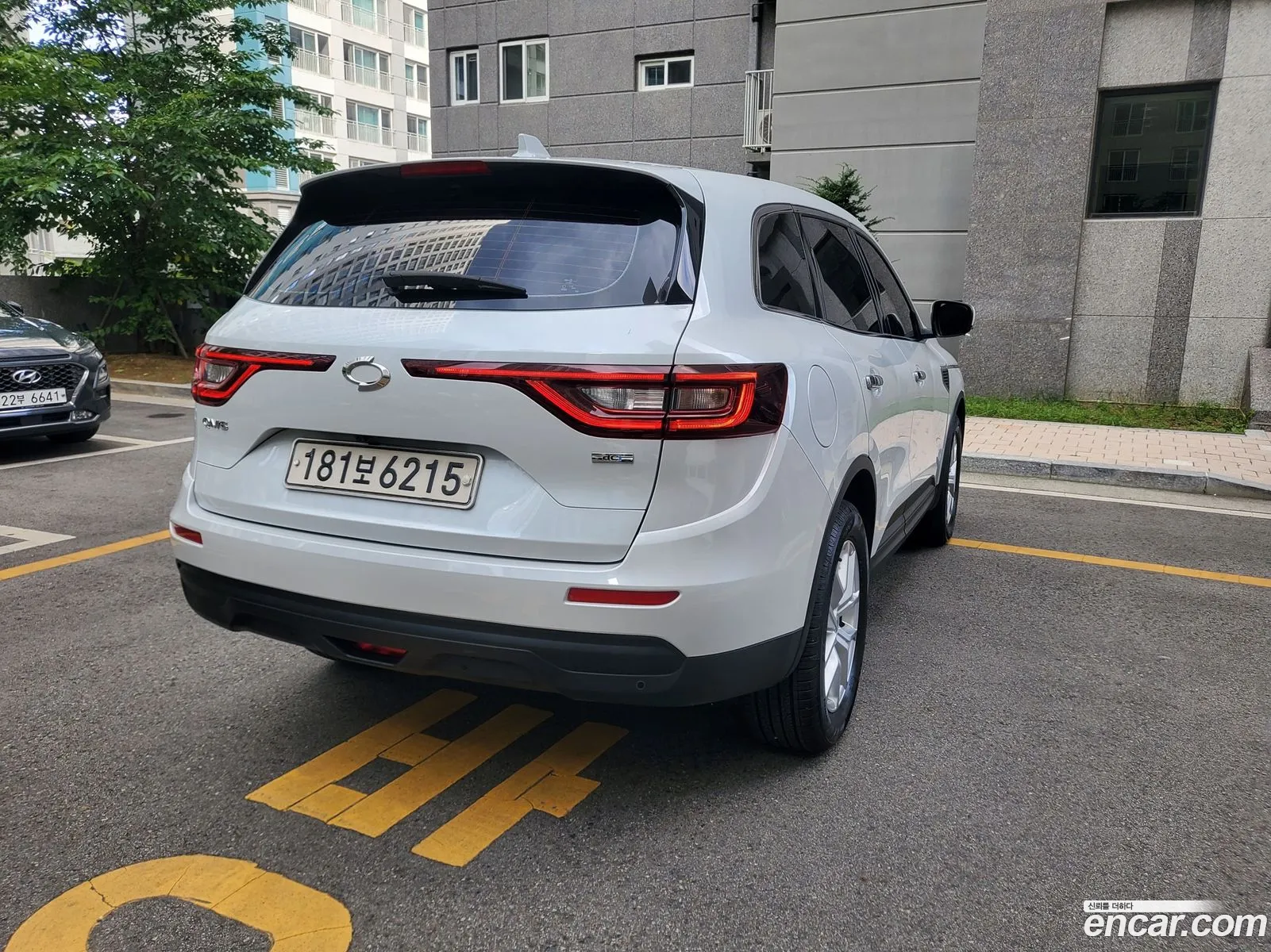 Renault Samsung Qm6 Diesel 2Wd Re Plus 2017 - фотография 927691