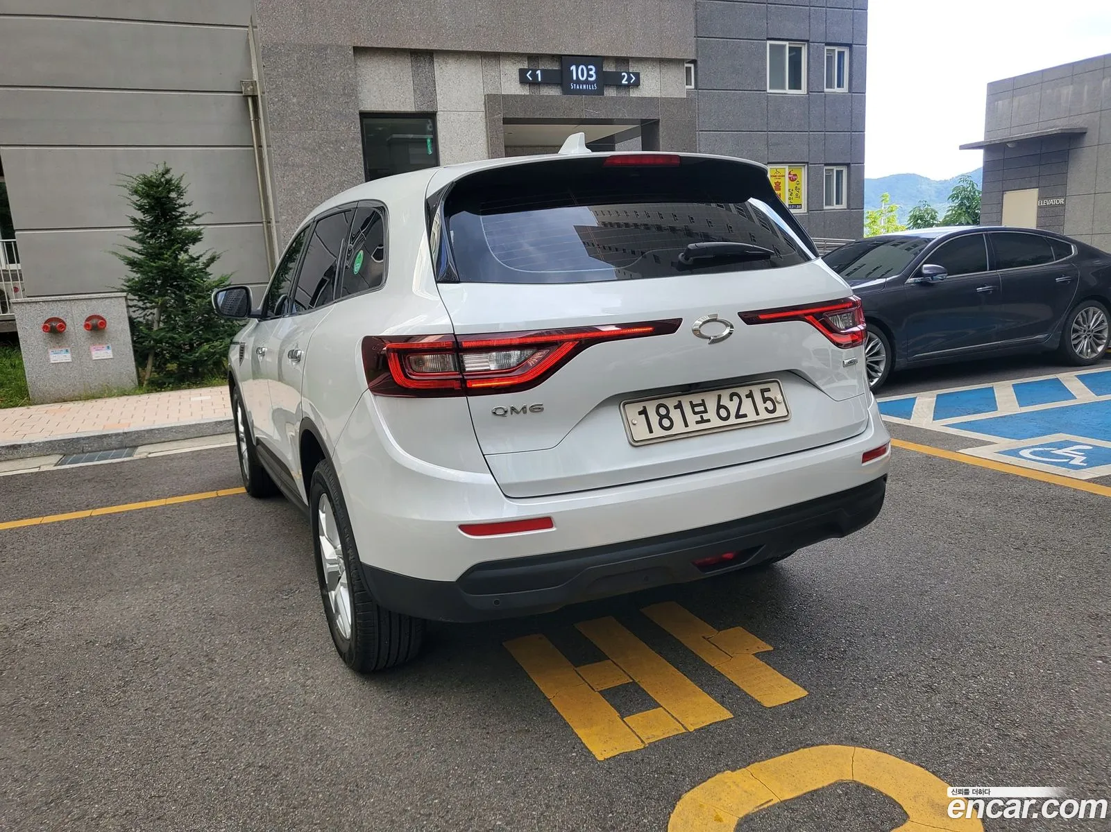 Renault Samsung Qm6 Diesel 2Wd Re Plus 2017 - фотография 927693