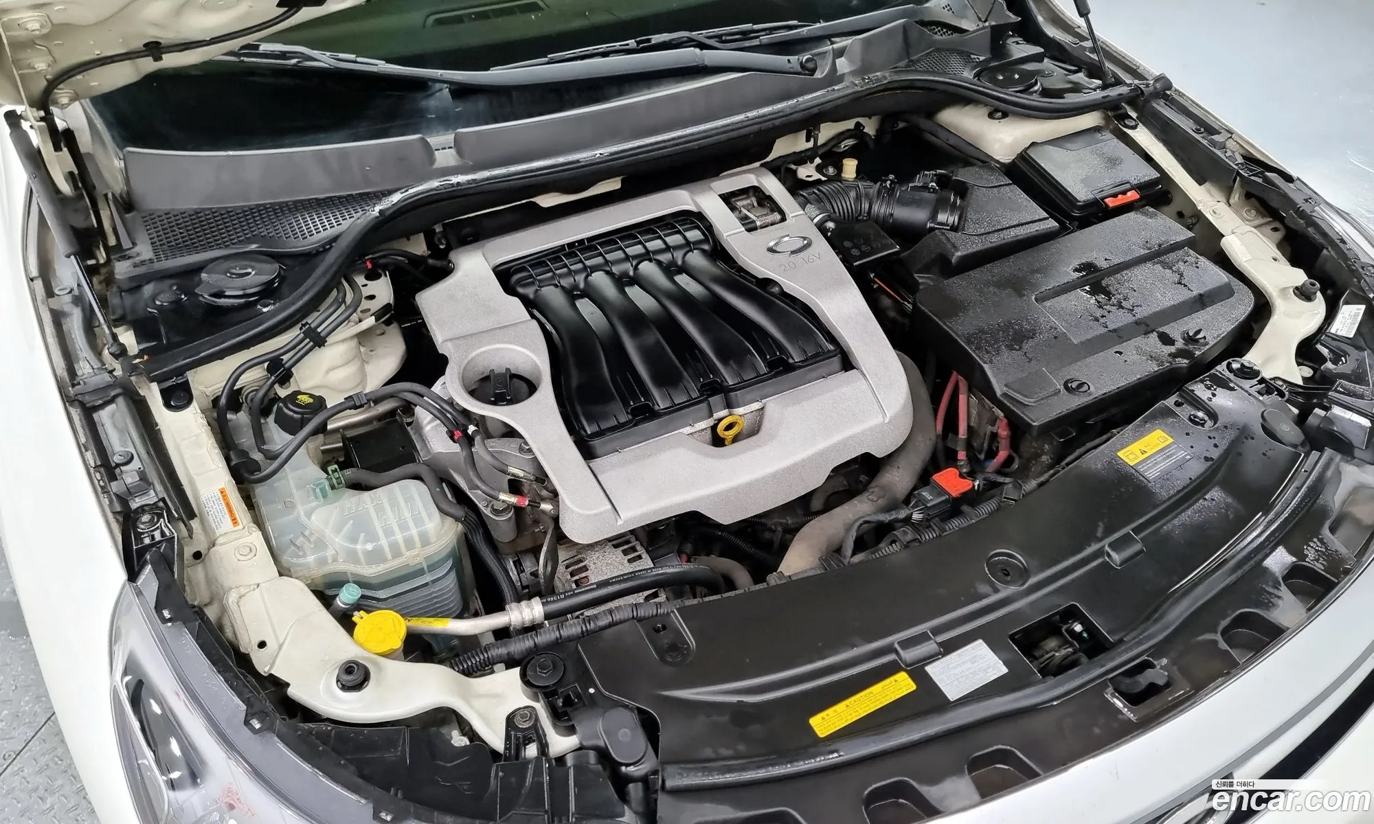 Renault Samsung Sm5 Lpli Le 2011 - фотография 945035