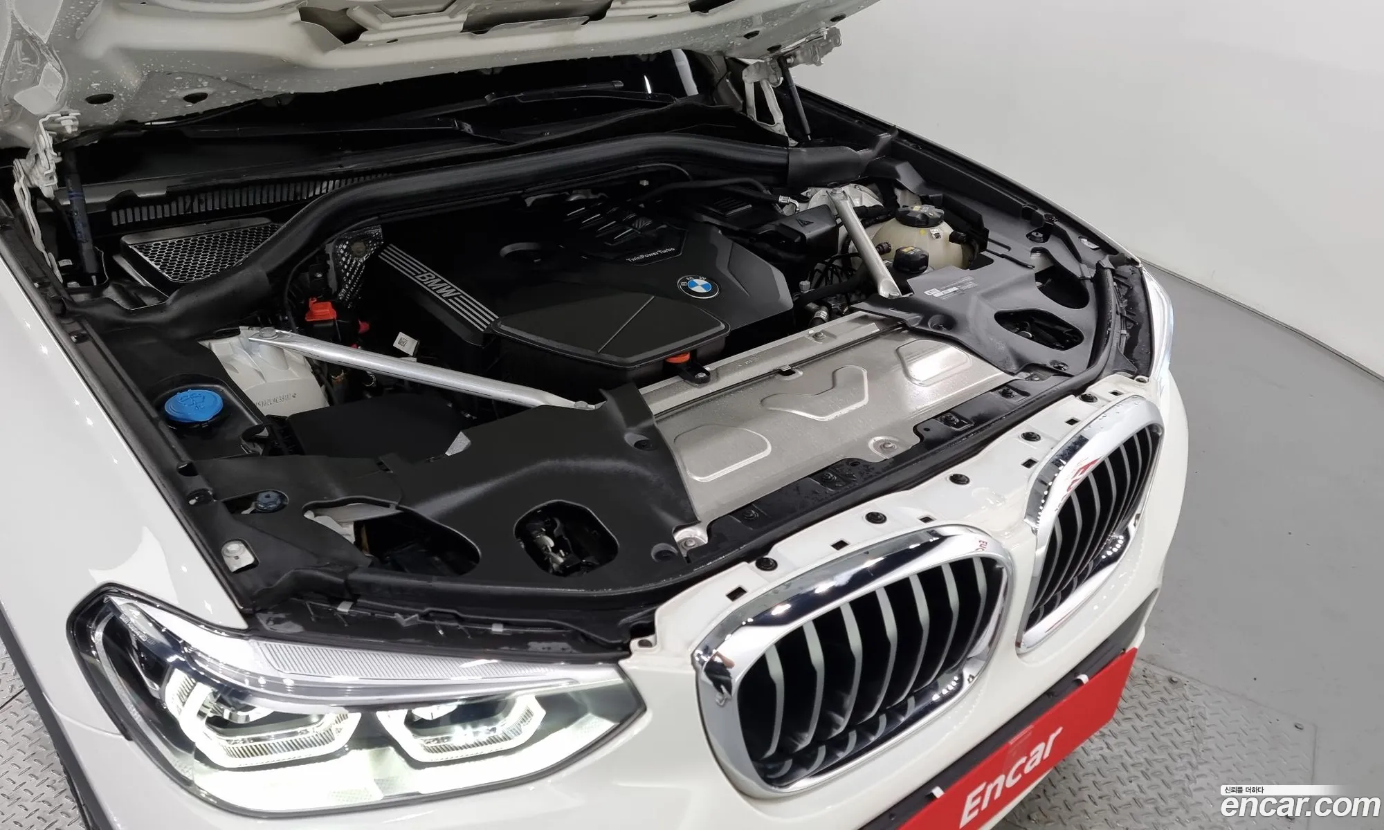 BMW X4 Ii G02 xDrive20I M Sports 2020 - фотография 12546294