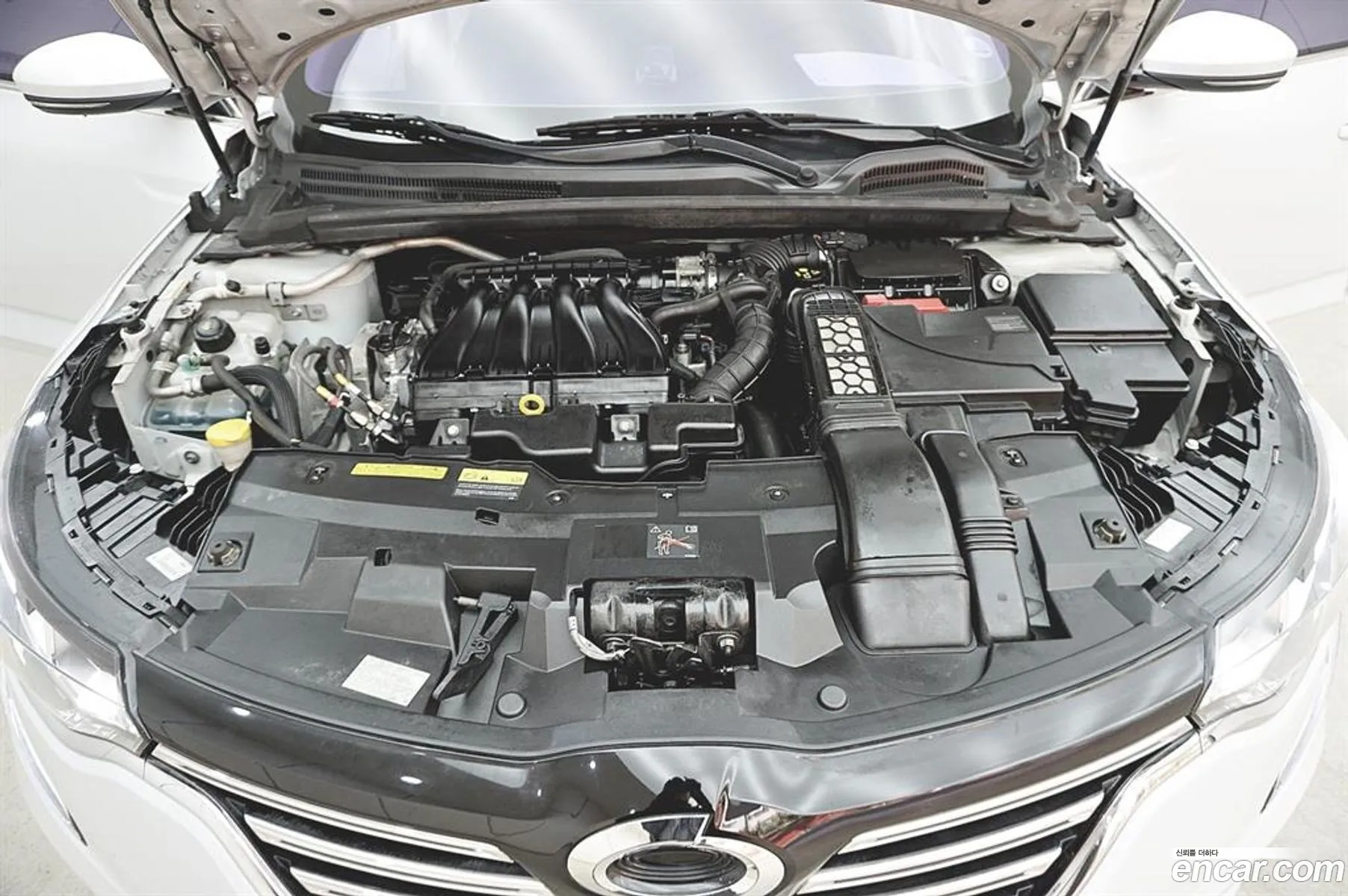 Renault Samsung Sm6 20 Lpe Re For The Disabled 2016 - фотография 925964