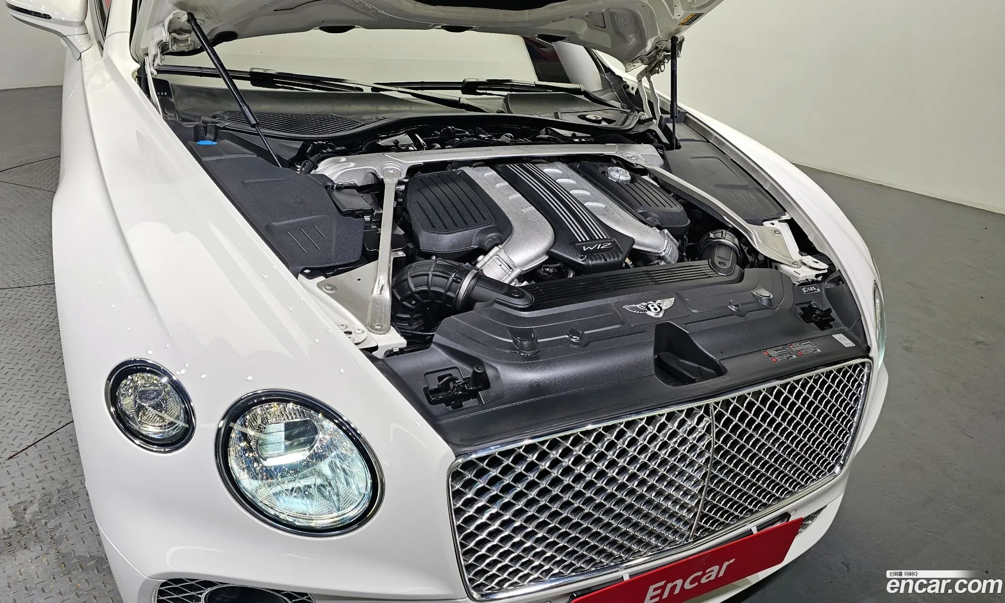 Bentley Continental 60 Gt 2020 - фотография 4159665
