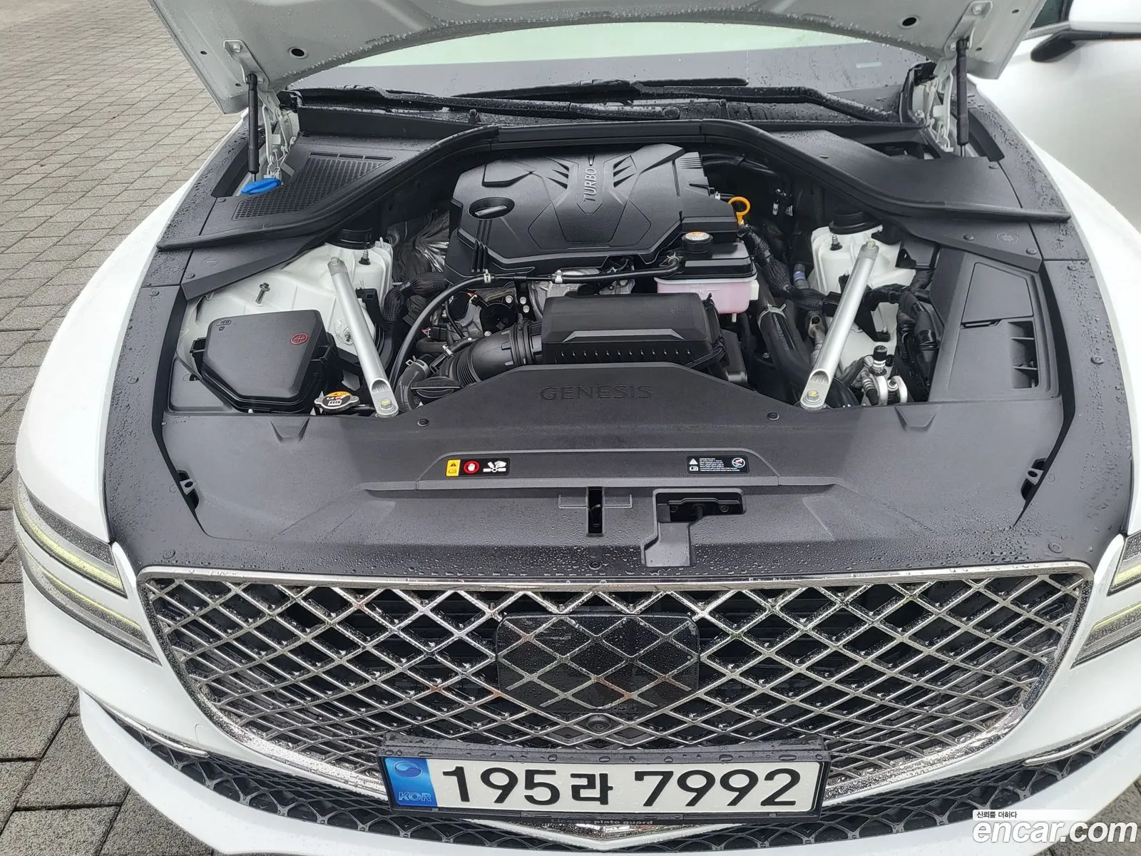 Korex Auto Trade - фотография 1392119