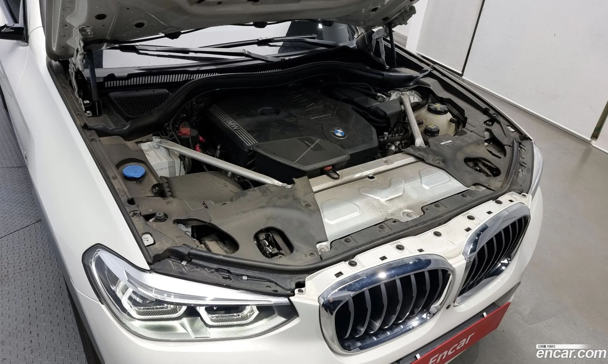 BMW X4 Ii G02 xDrive20I M Sports 2021 - фотография 19715874