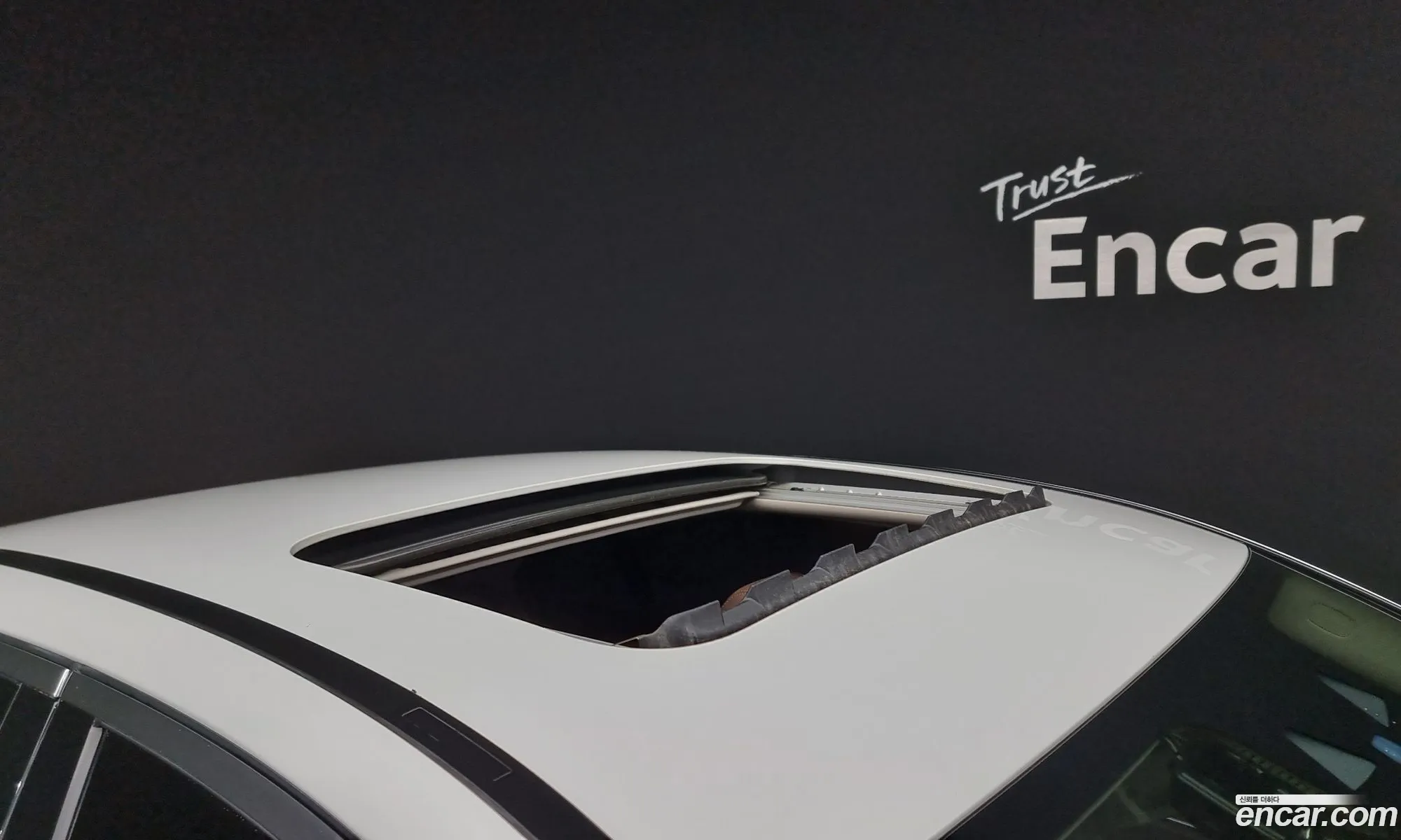 Korex Auto Trade - фотография 16426516