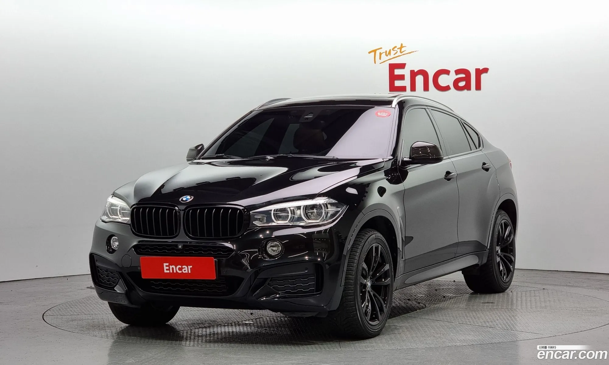 BMW X6 Ii F16 xDrive 30D Vision 100 Edition 2016 - фотография 19712848