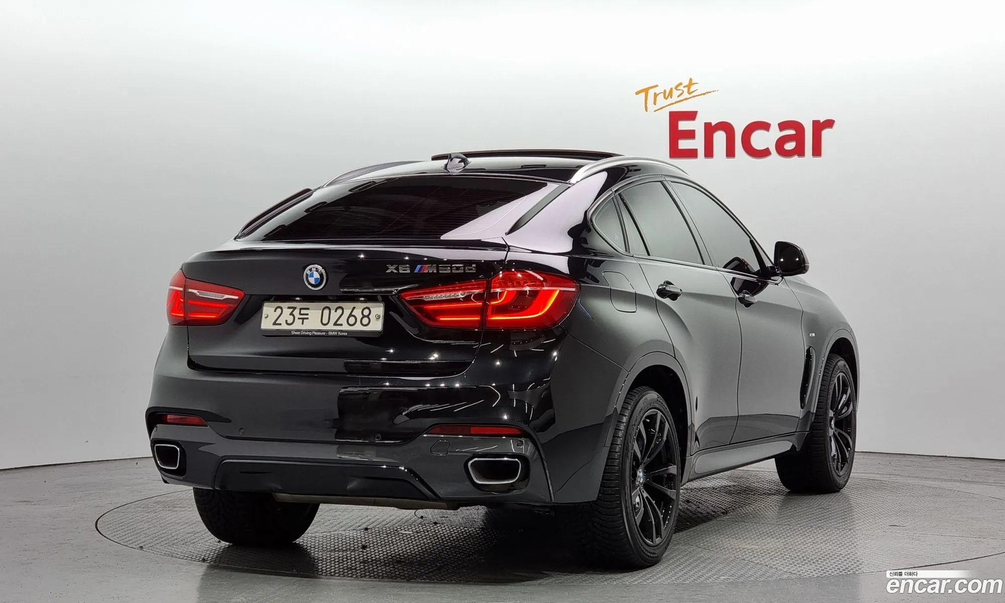BMW X6 Ii F16 xDrive 30D Vision 100 Edition 2016 - фотография 19712849