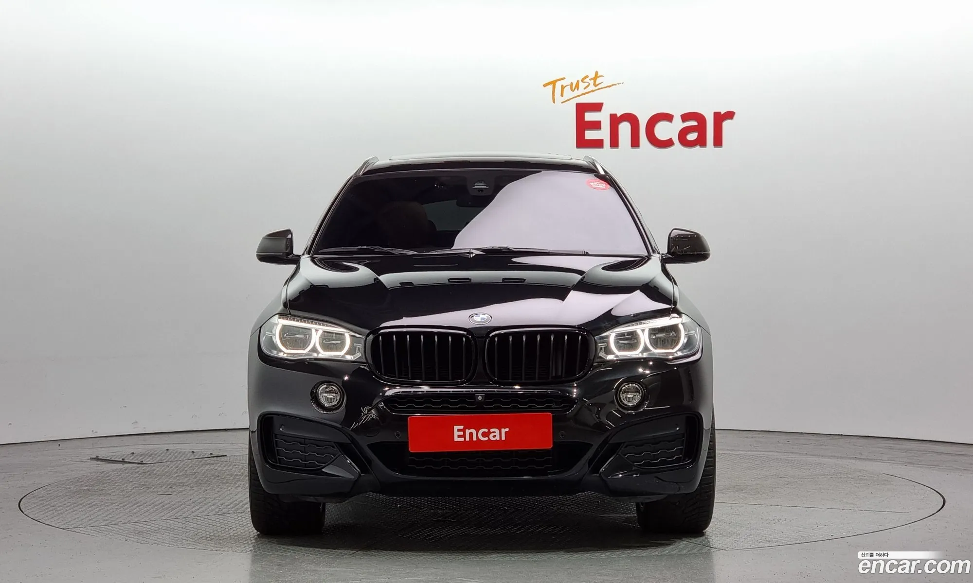 BMW X6 Ii F16 xDrive 30D Vision 100 Edition 2016 - фотография 19712850