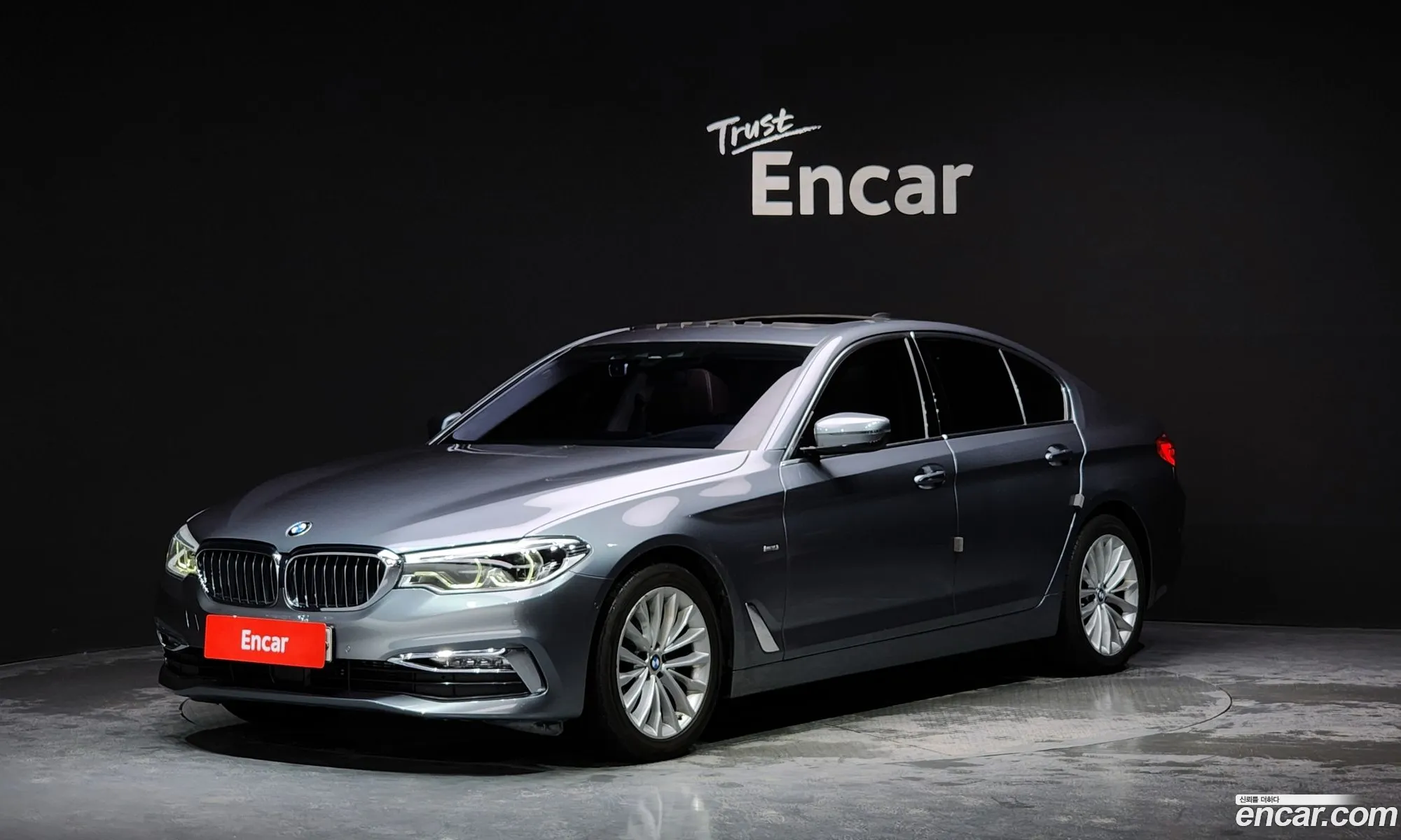 BMW 5Er Vii G30G31 520D xDrive Luxury Plus 2018 - фотография 18908886