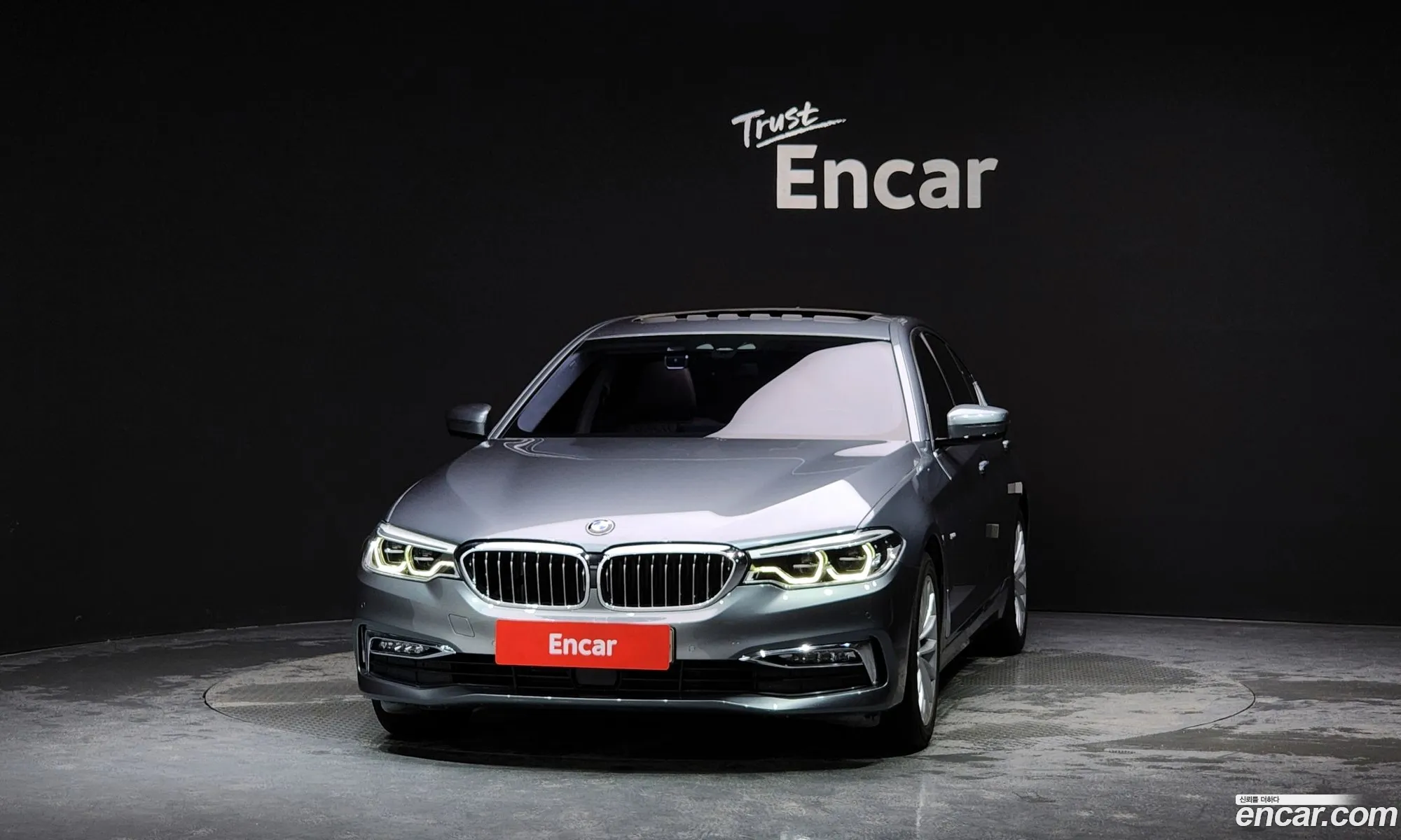 BMW 5Er Vii G30G31 520D xDrive Luxury Plus 2018 - фотография 18908888