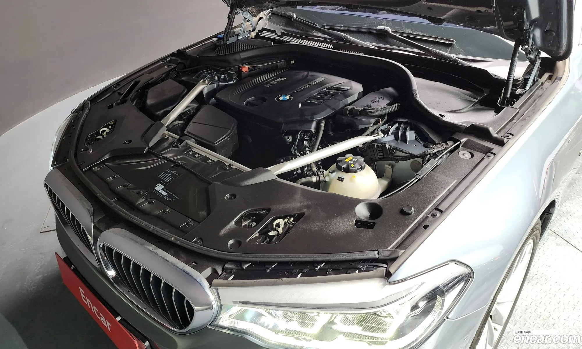 BMW 5Er Vii G30G31 520D xDrive Luxury Plus 2018 - фотография 18908891
