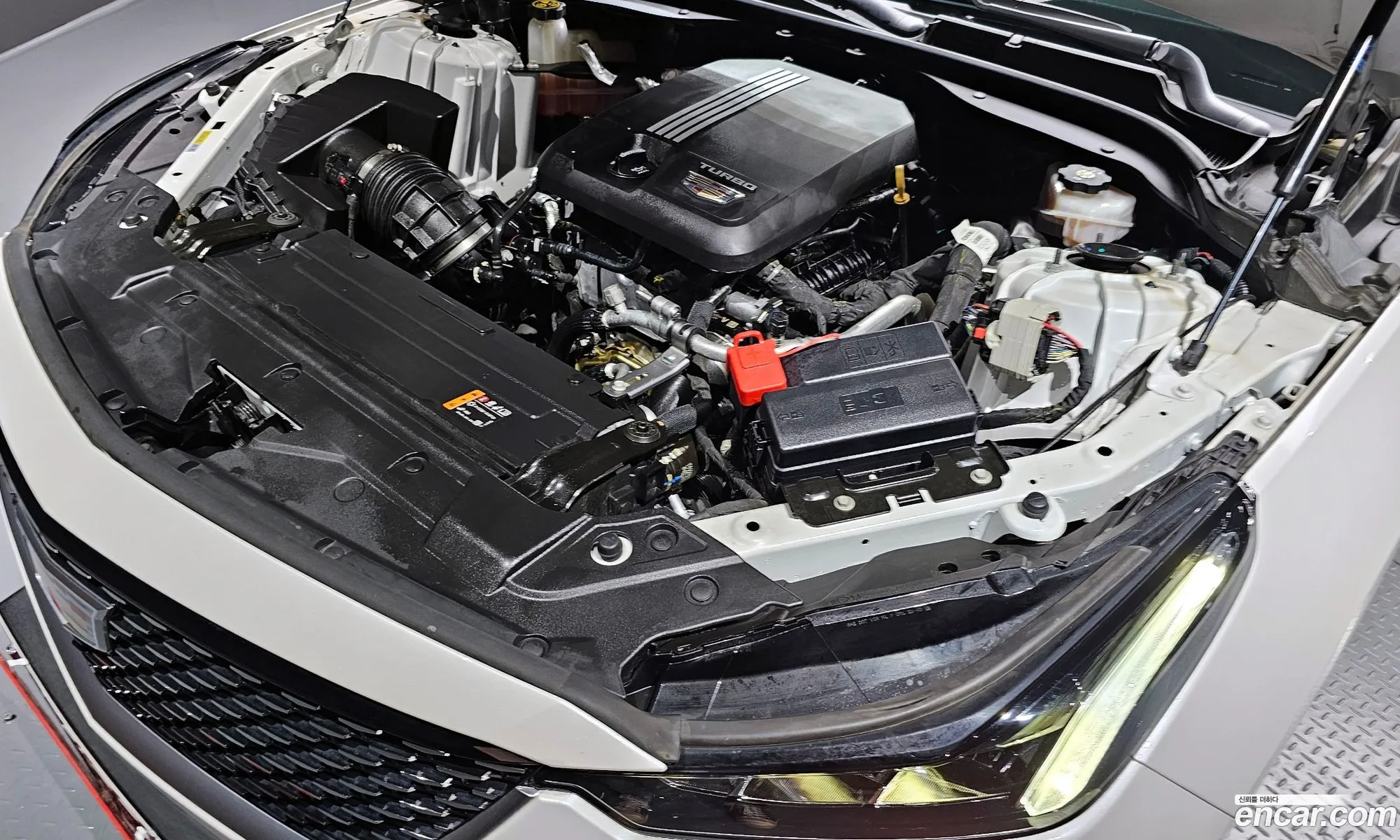 Cadillac Ct5 I 20 Premium Luxury 2021 - фотография 3911892