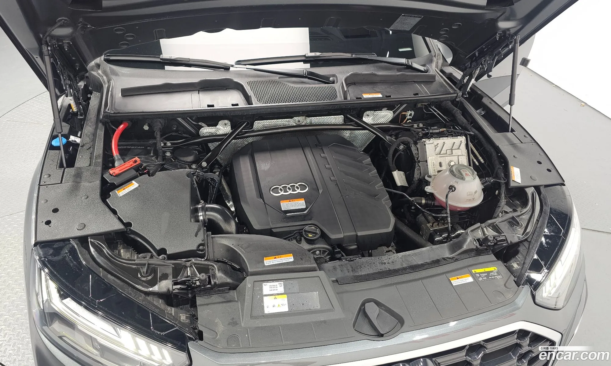 Audi Q5 45 Tfsi Quattro Premium 2023 - фотография 15290762