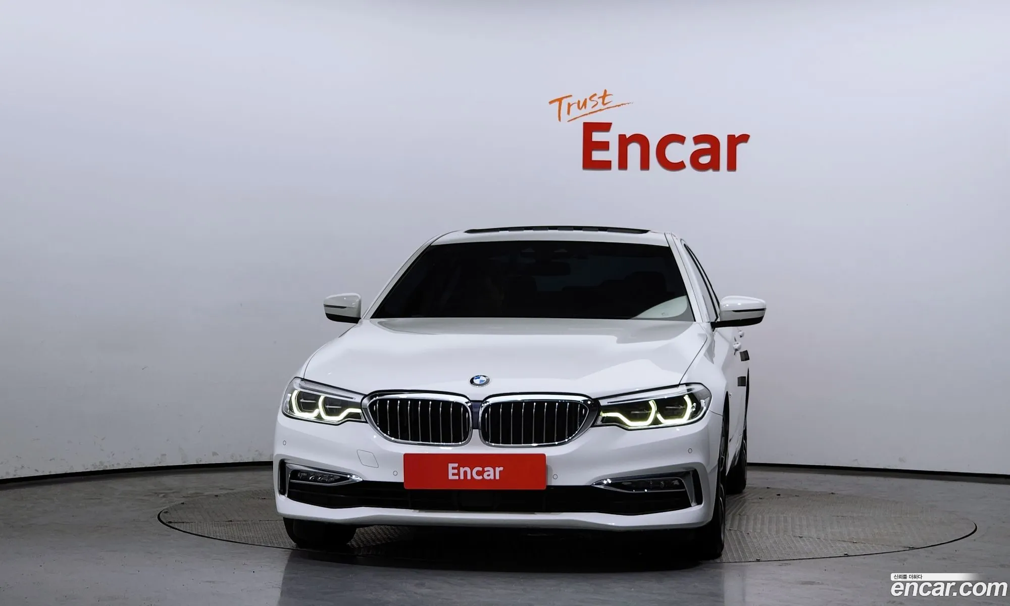 BMW 5Er Vii G30G31 520D Luxury Special Edition 2018 - фотография 16315733