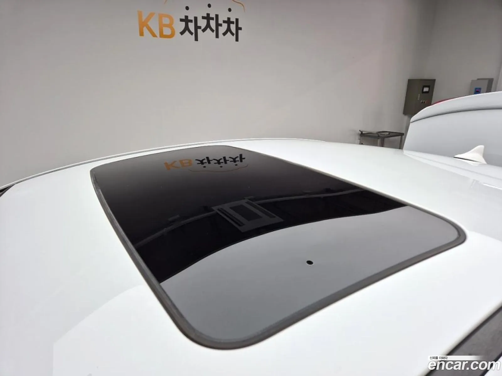 Korex Auto Trade - фотография 17555264