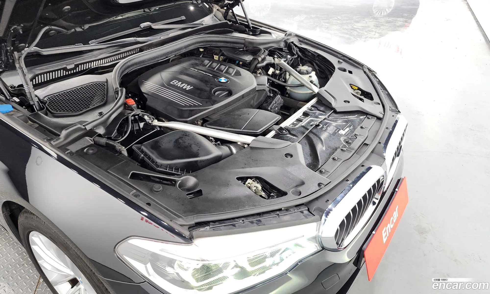BMW 5Er Vii G30G31 520D xDrive Luxury Plus 2018 - фотография 16362106