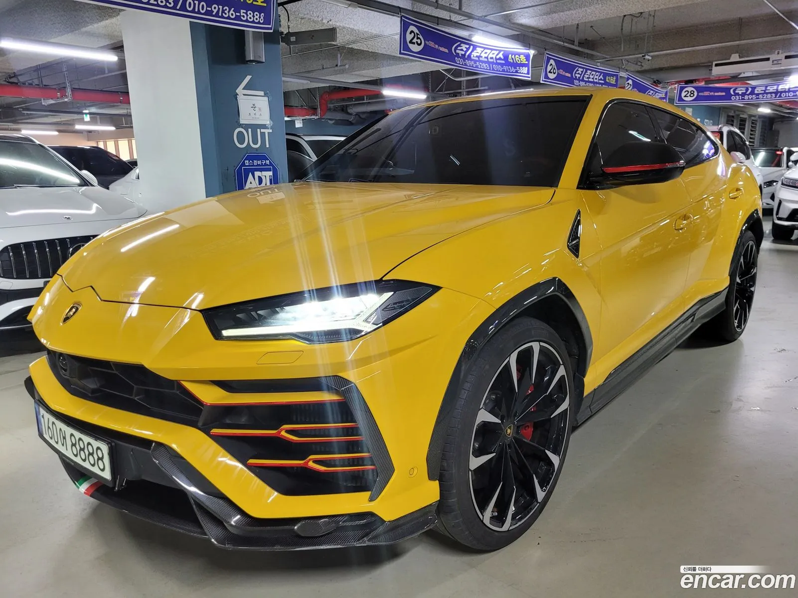 Lamborghini Urus I 40 V8 2020 - фотография 3749482