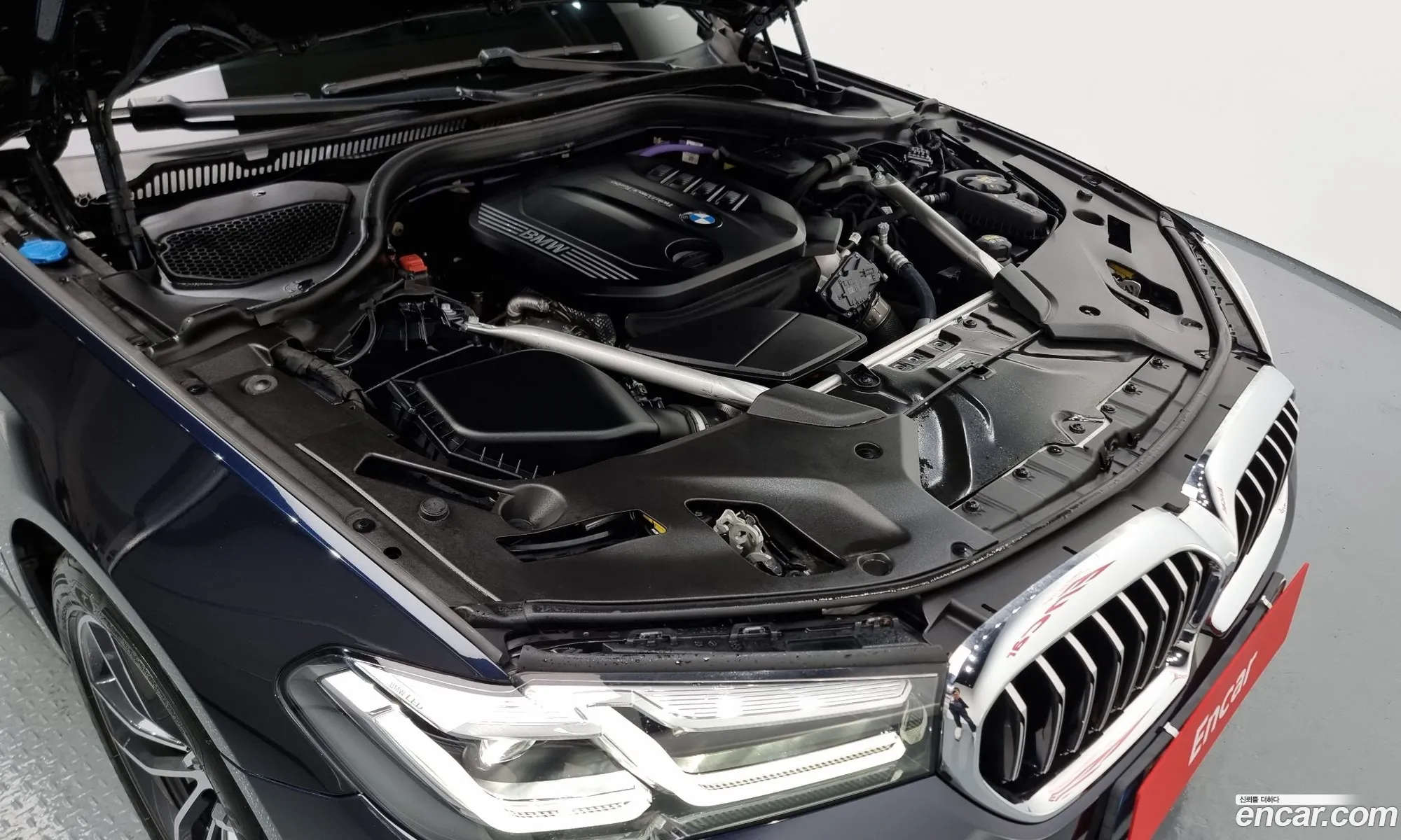 BMW 5Er Vii G30G31 523D M Sports 2021 - фотография 16372334