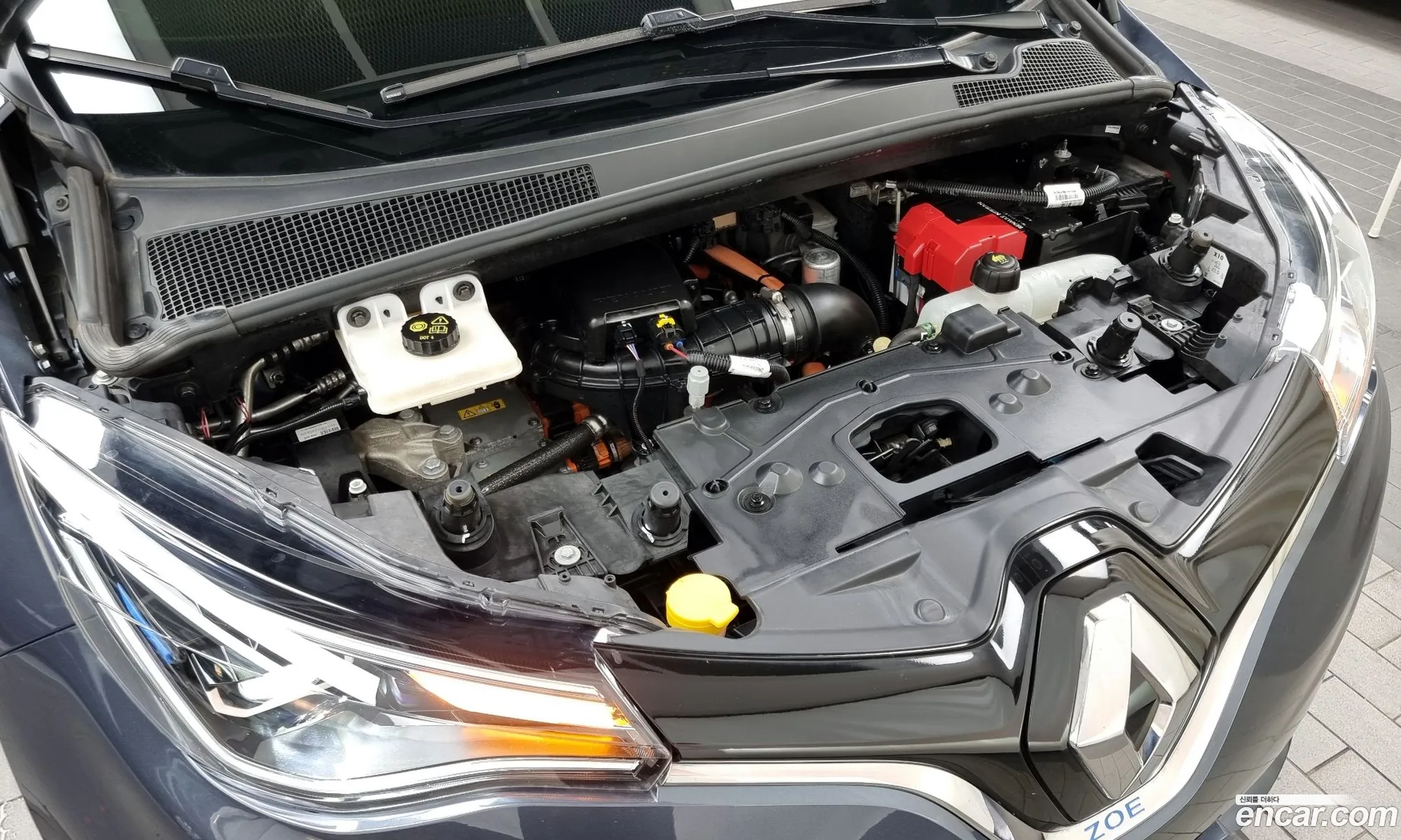 Renault Samsung Zoe Intense 2021 - фотография 2672904