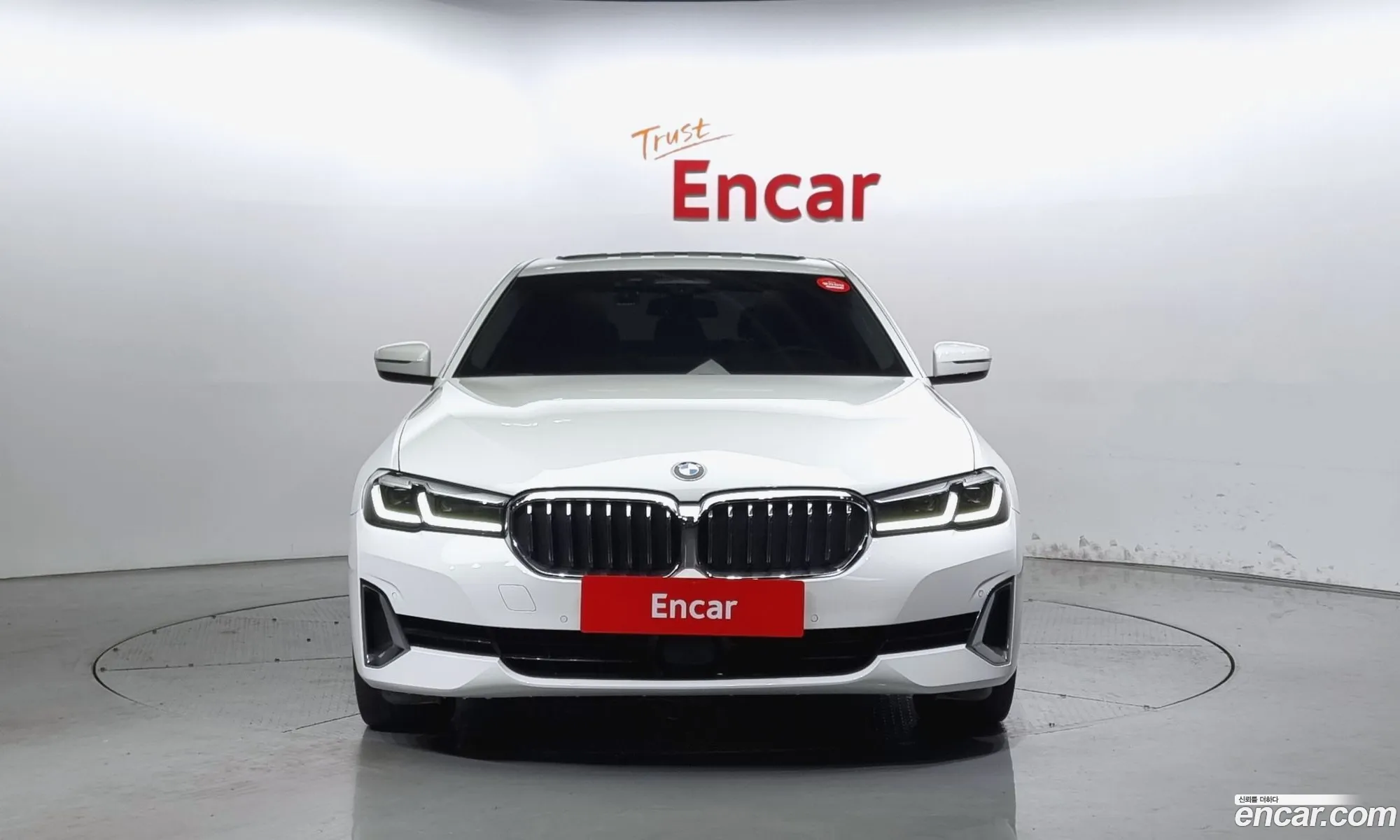 BMW 5Er Vii G30G31 530I xDrive Luxury 2021 - фотография 16315753