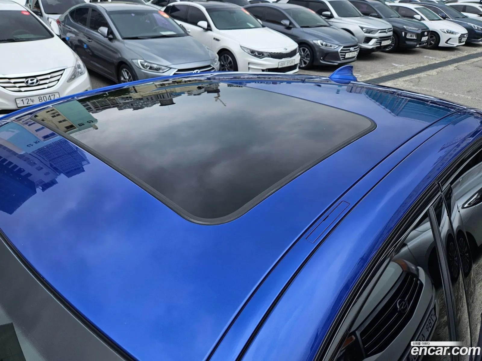 Korex Auto Trade - фотография 16357037