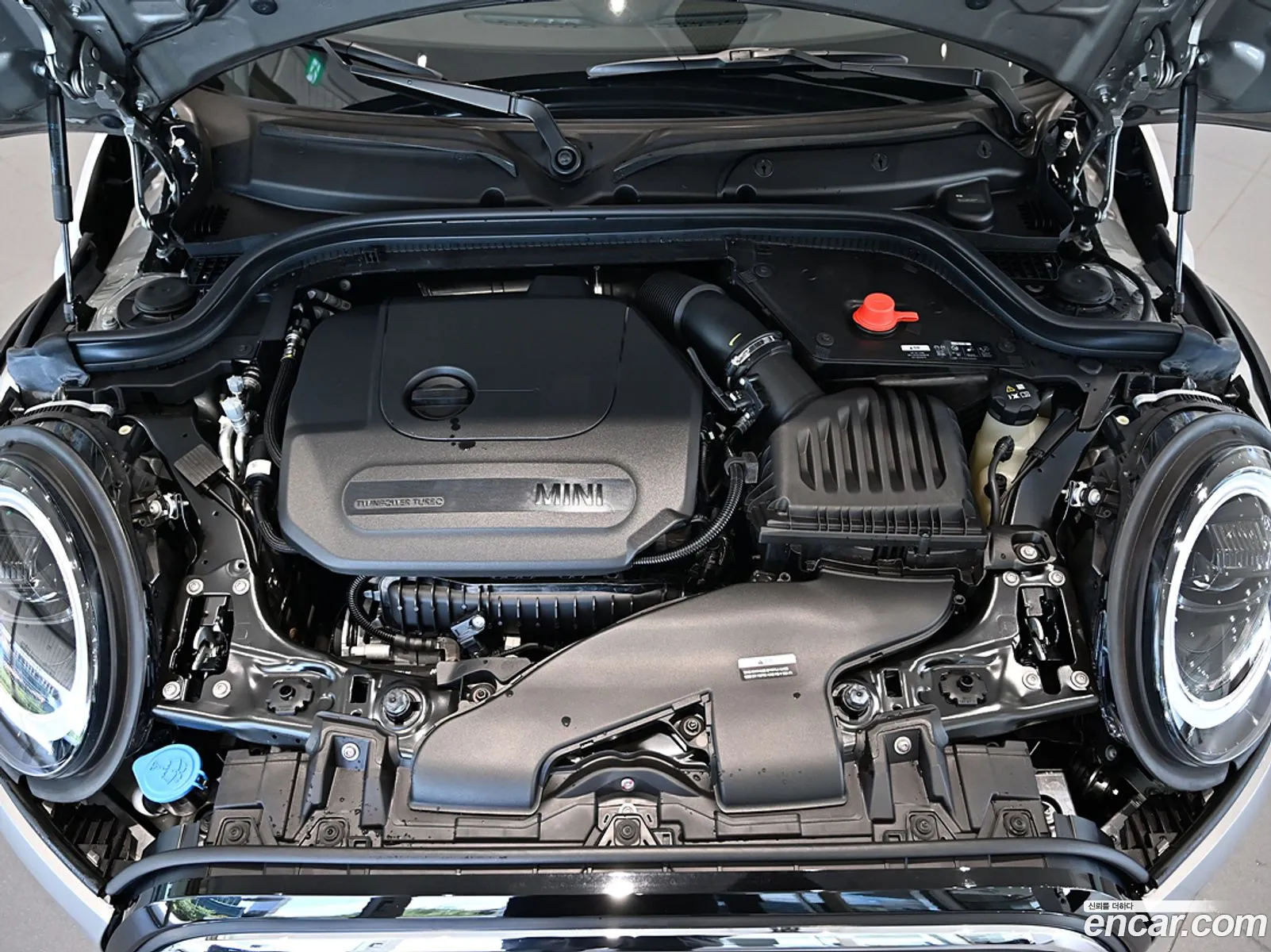 Korex Auto Trade - фотография 11259104
