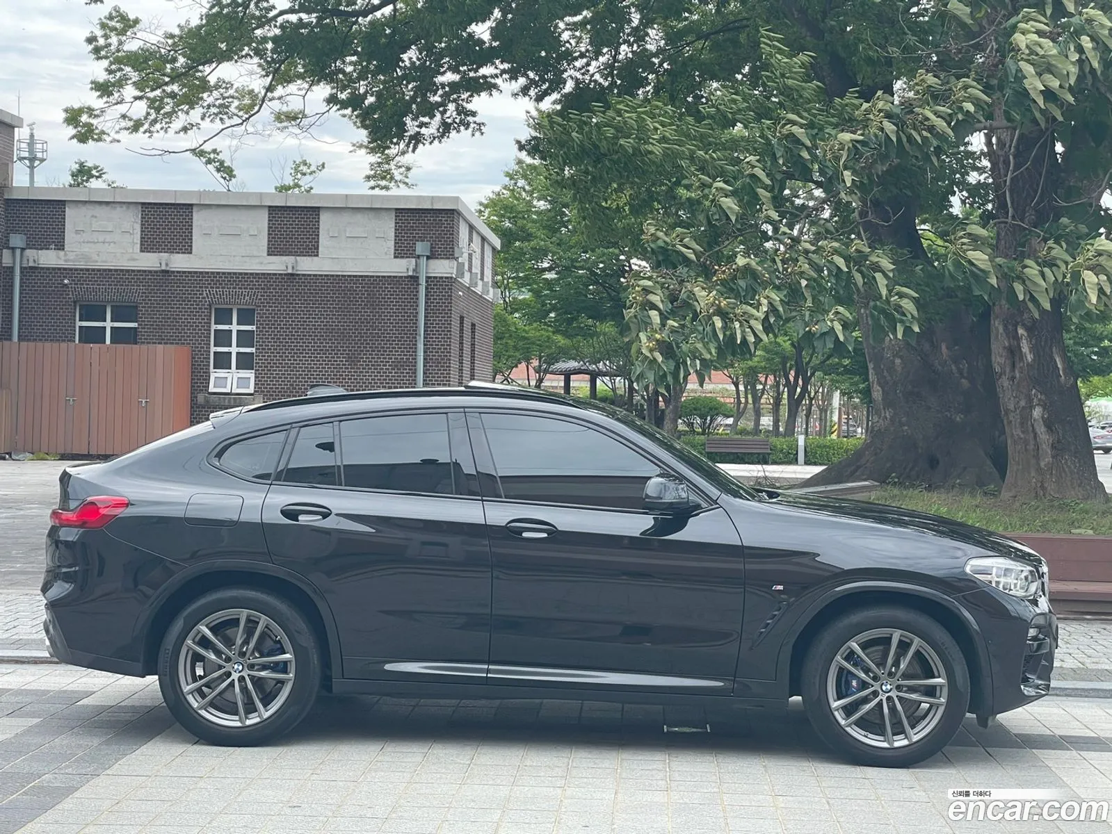 BMW X4 G02 xDrive20D M Sports - фотография 16362127
