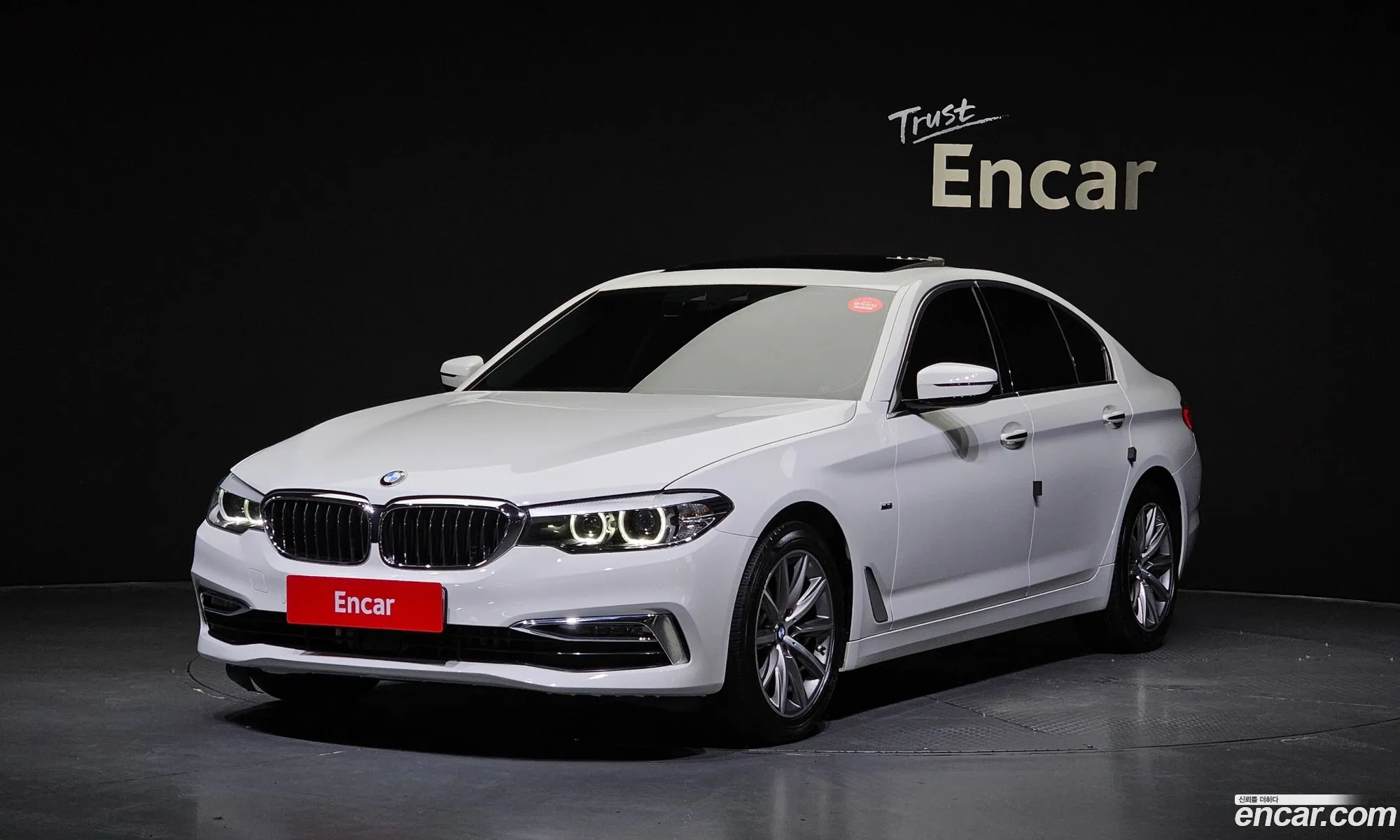 BMW 5Er Vii G30G31 520I Luxury 2018 - фотография 12639449