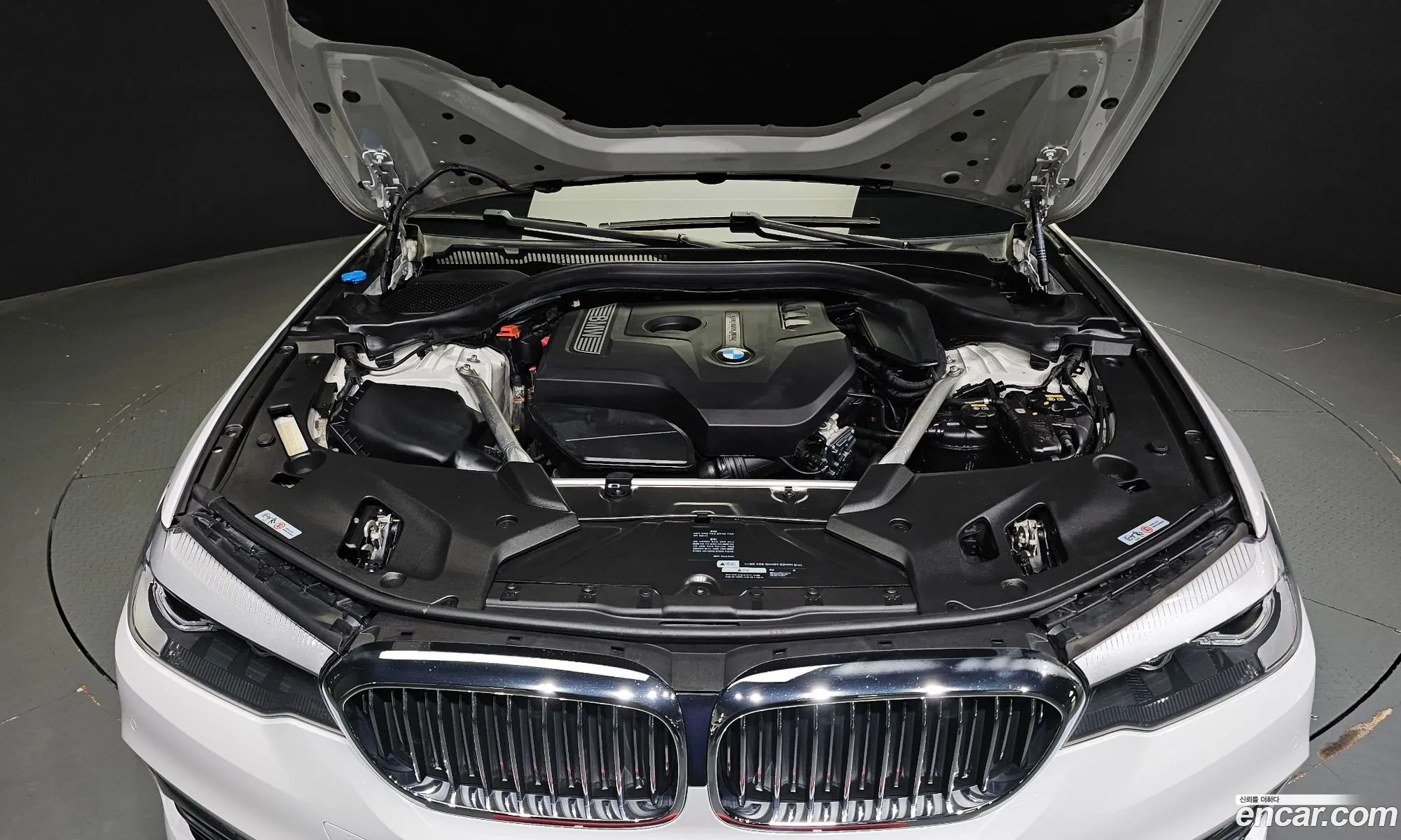 BMW 5Er Vii G30G31 520I Luxury 2018 - фотография 12639454