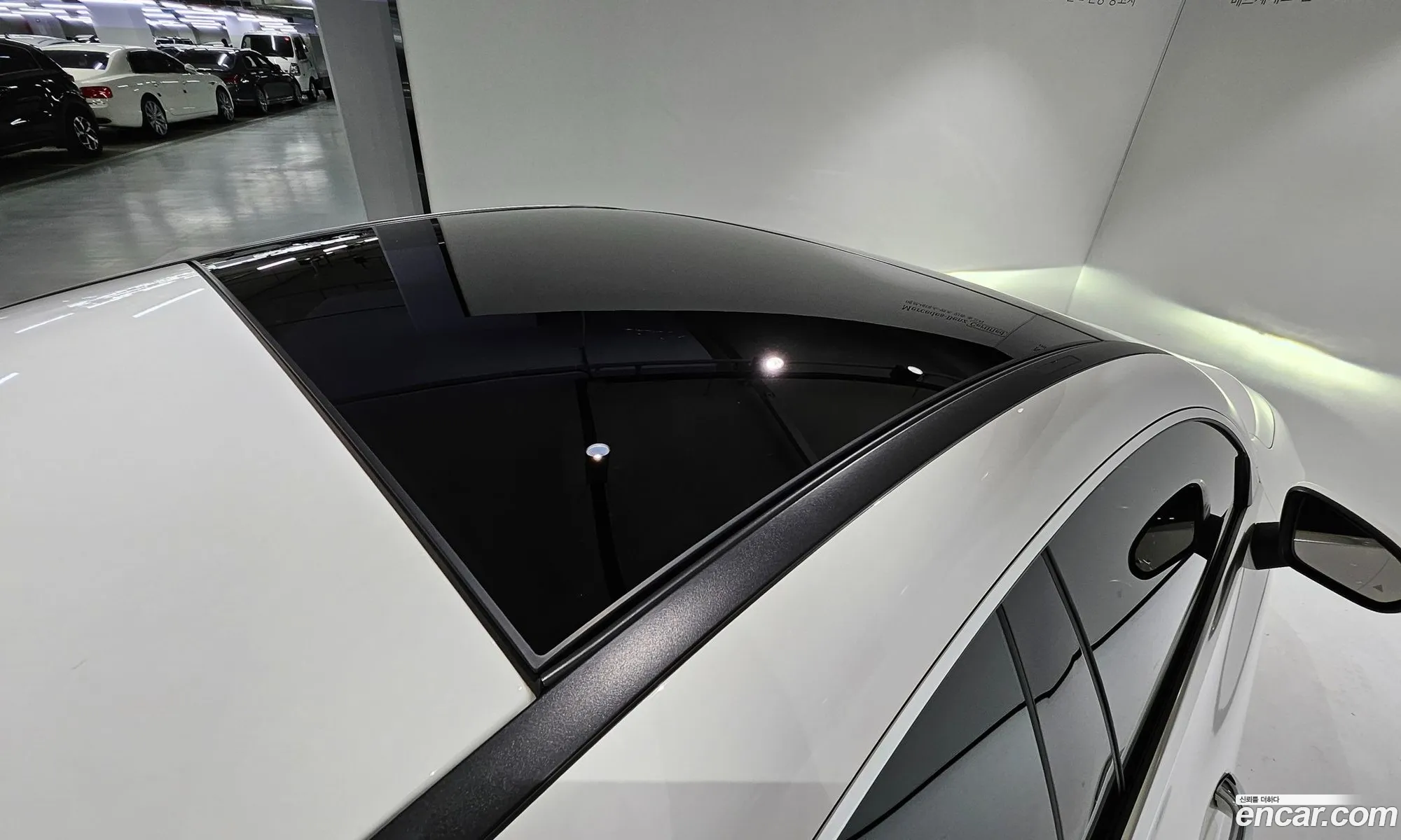 Korex Auto Trade - фотография 16488059