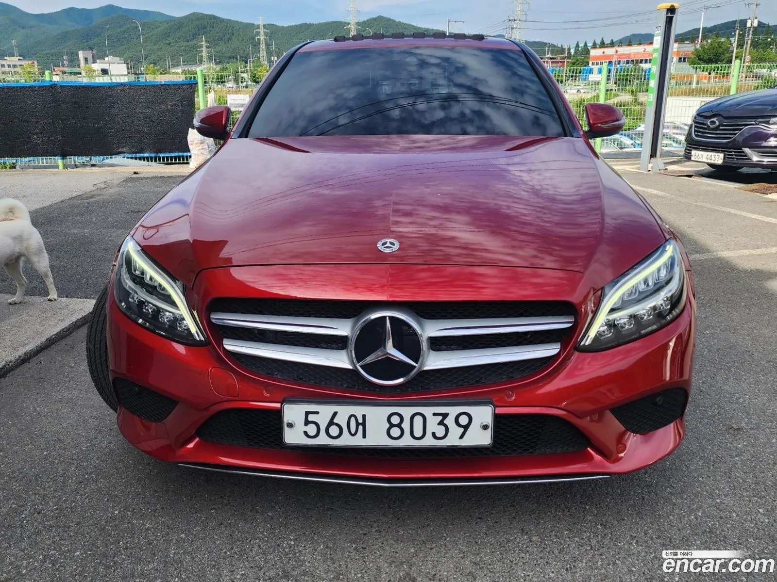 Mercedes-Benz C-Klasse Iv W205 C220 D Avant Garde 2019 - фотография 16467801