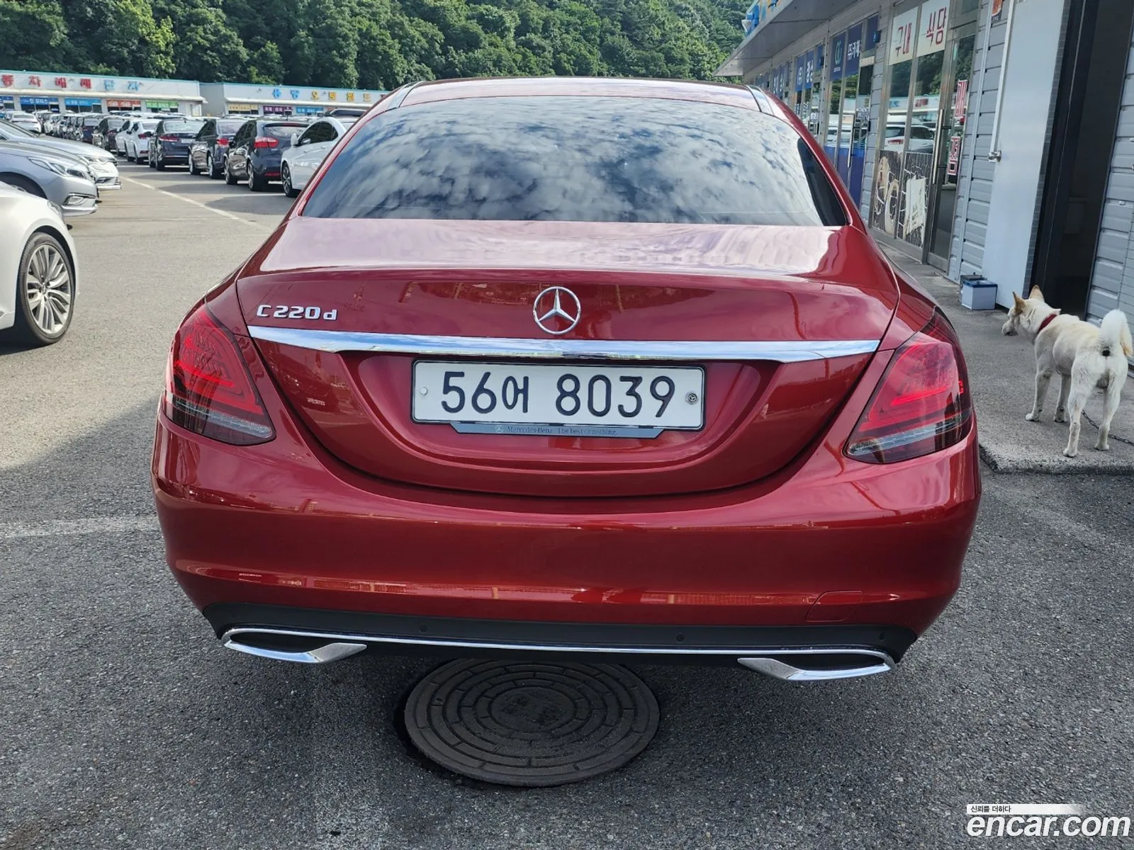 Mercedes-Benz C-Klasse Iv W205 C220 D Avant Garde 2019 - фотография 16467803