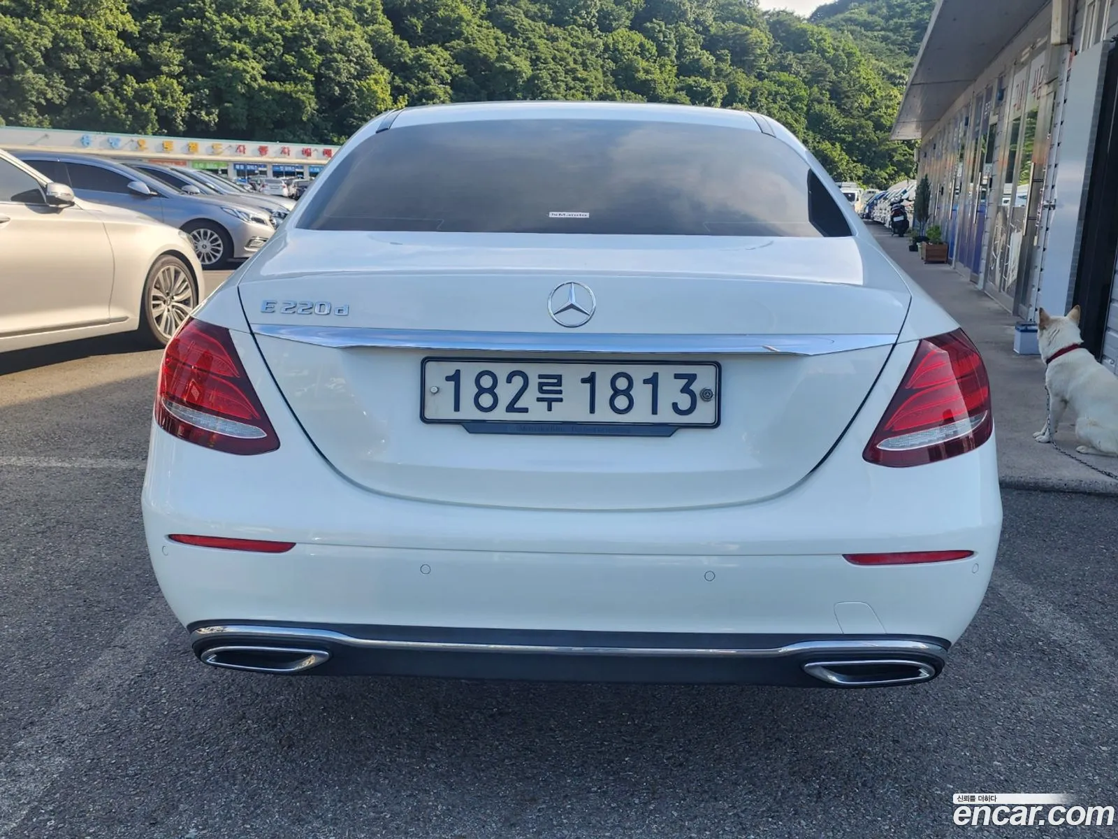 Mercedes-Benz E-Klasse E220D Avant Garde 2016 - фотография 16428646