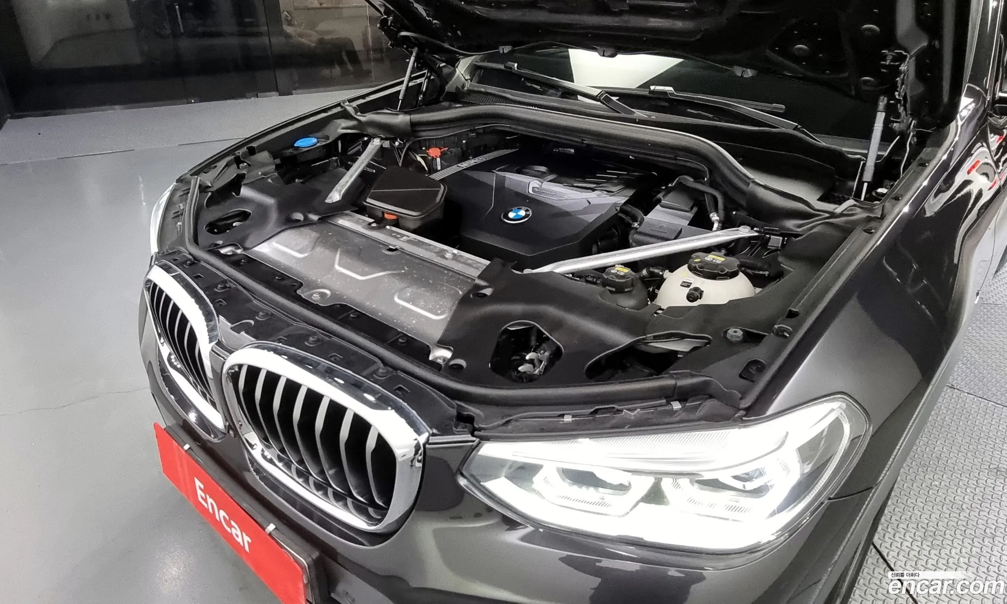 BMW X4 Ii G02 xDrive20I M Sports 2020 - фотография 18908964