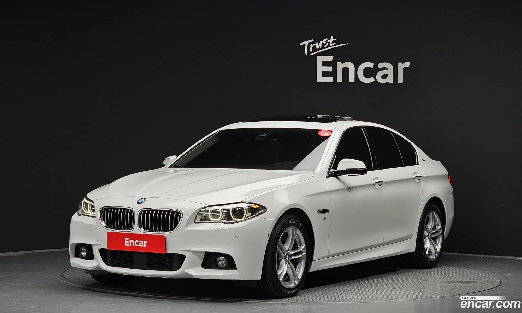 BMW 5Er 520D xDrive M Aerodynamics 2016 - фотография 12639486