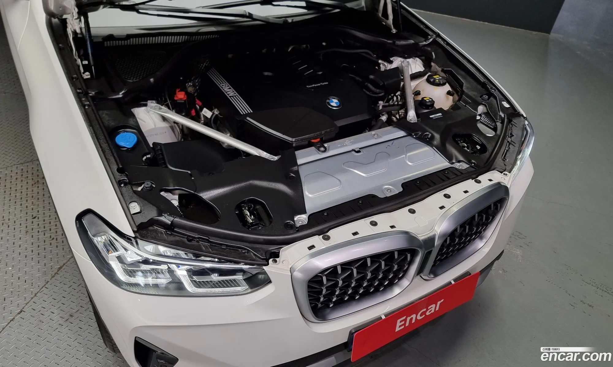 BMW X4 Ii G02 xDrive20I Xline 2022 - фотография 19476865