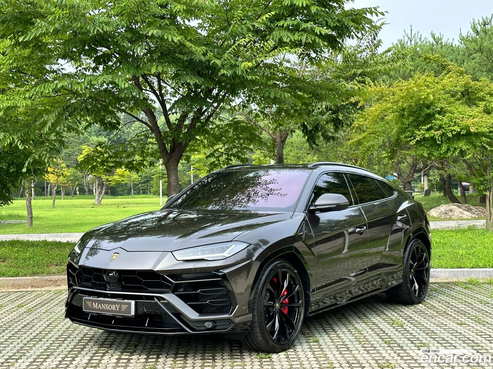 Lamborghini Urus I 40 V8 2022 - фотография 3749469