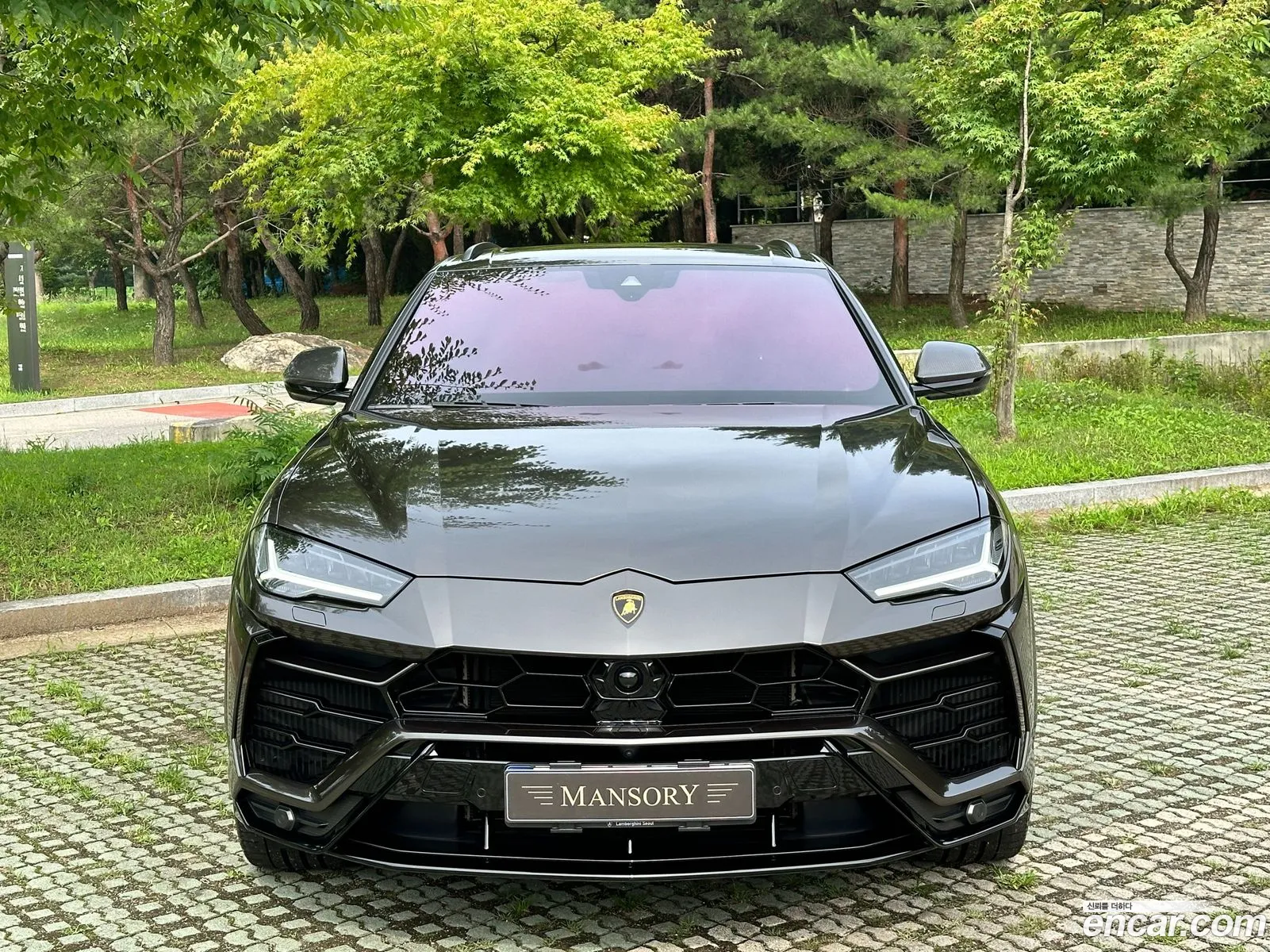 Lamborghini Urus I 40 V8 2022 - фотография 3749471