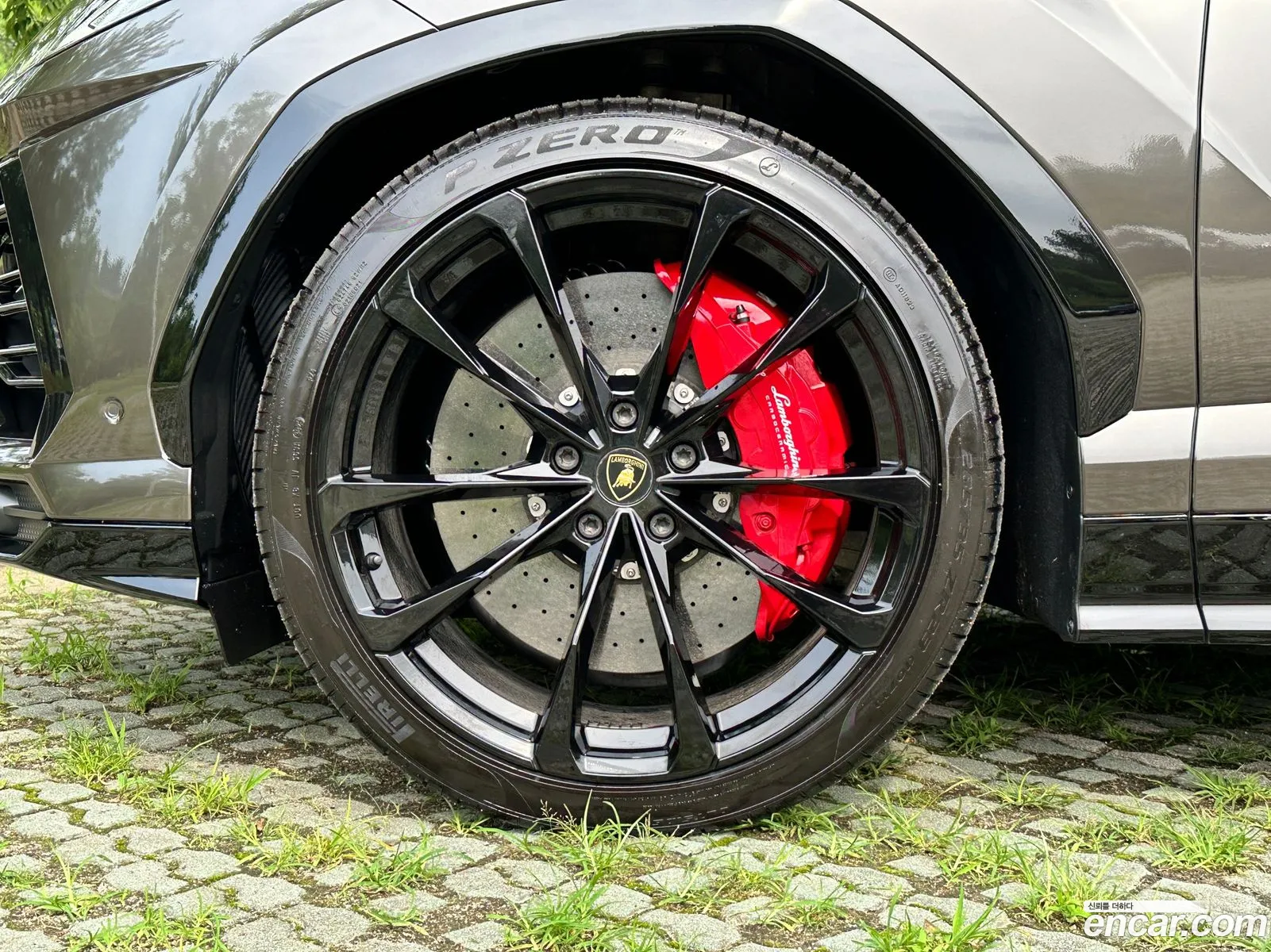 Lamborghini Urus I 40 V8 2022 - фотография 3749473