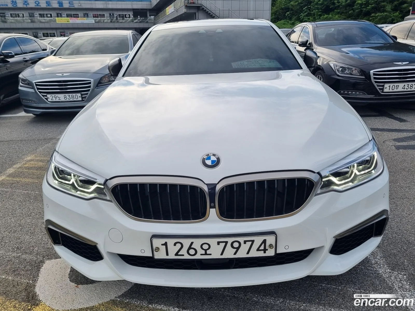 BMW 5Er Vii G30G31 M550D xDrive 2018 - фотография 19682826